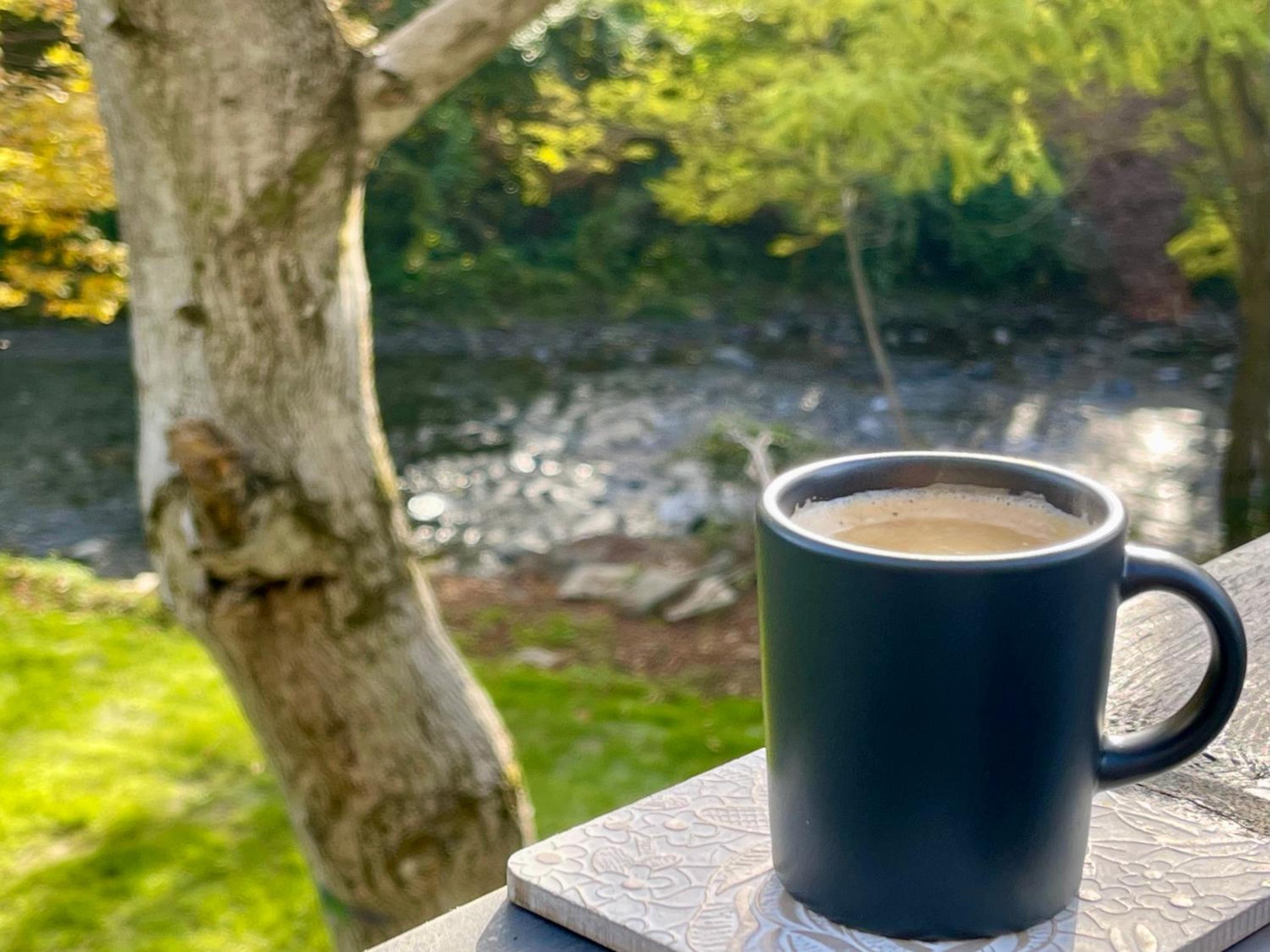 Riverside Avrig
