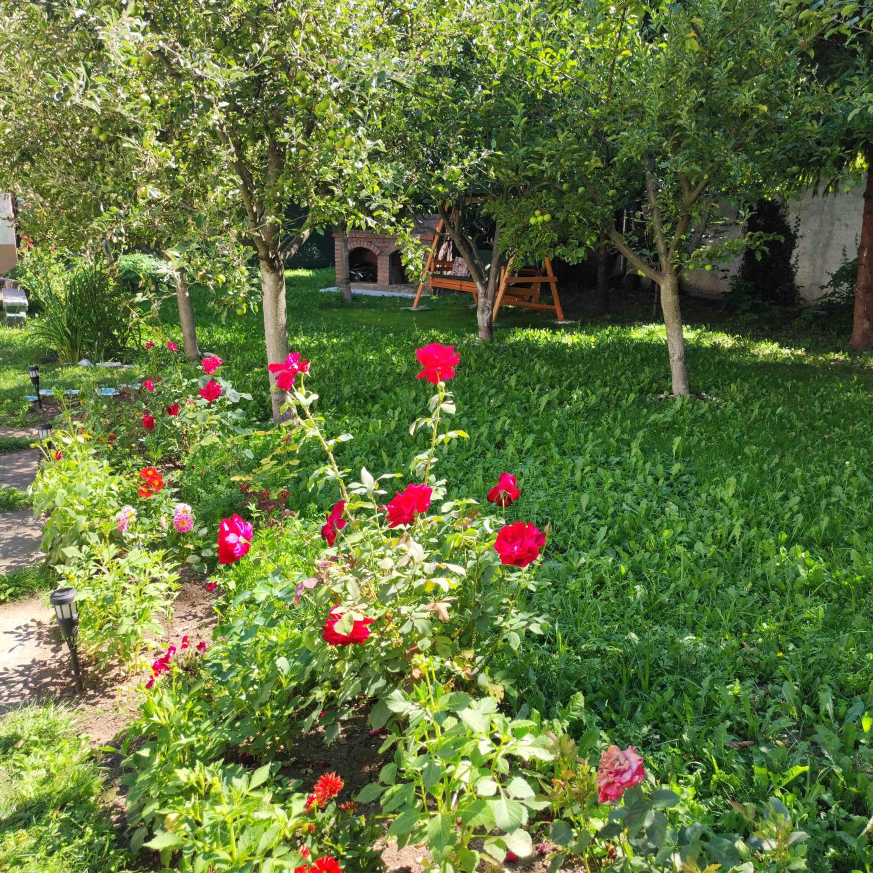 Photo 31