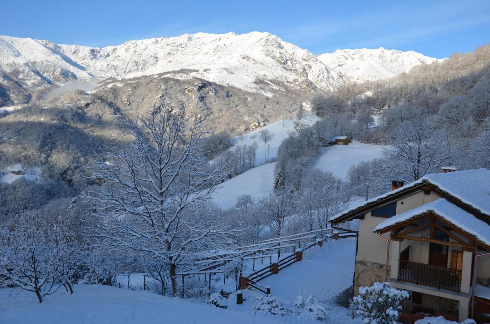 Alloggio Starteri