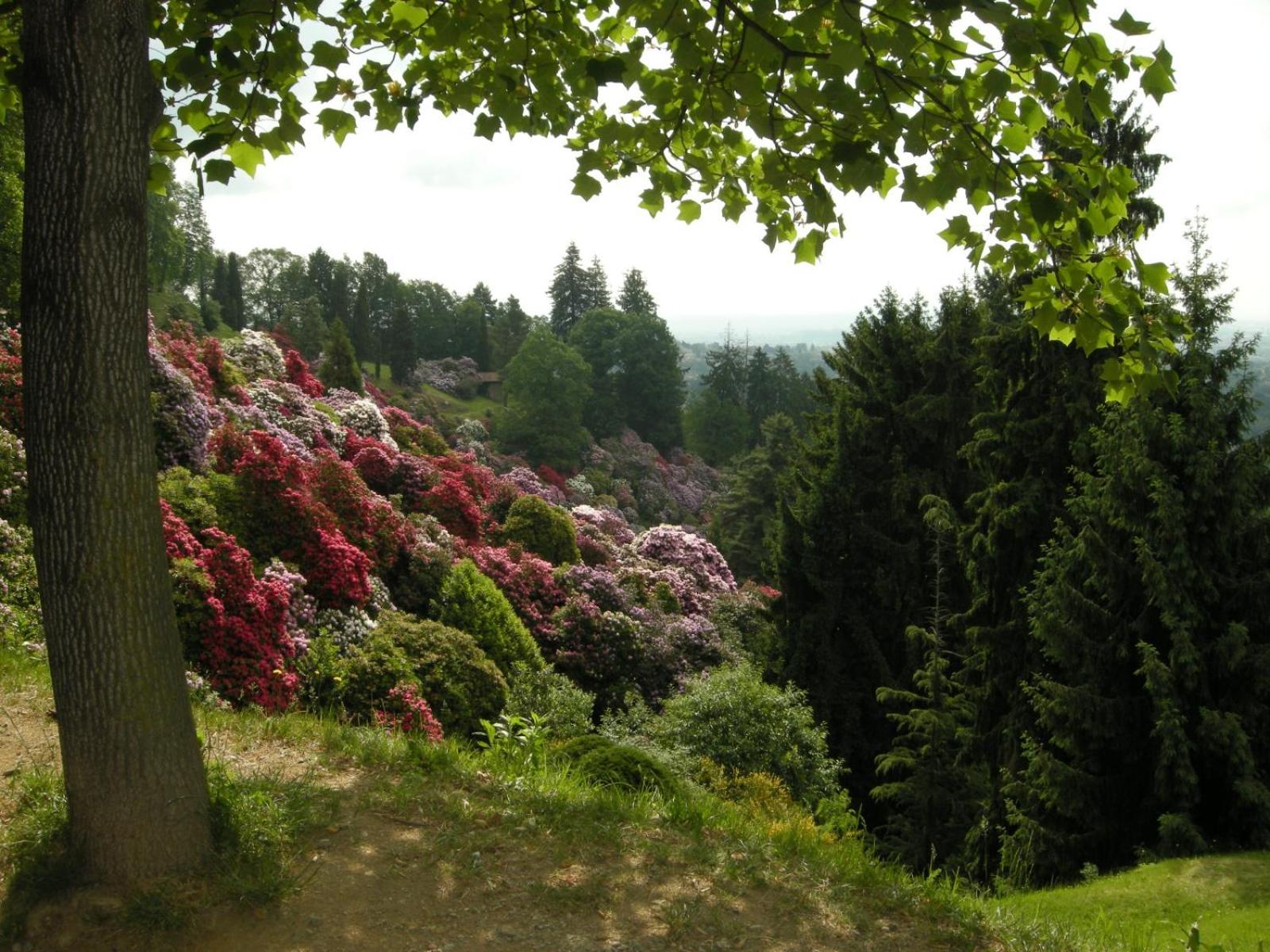 Alloggio Starteri