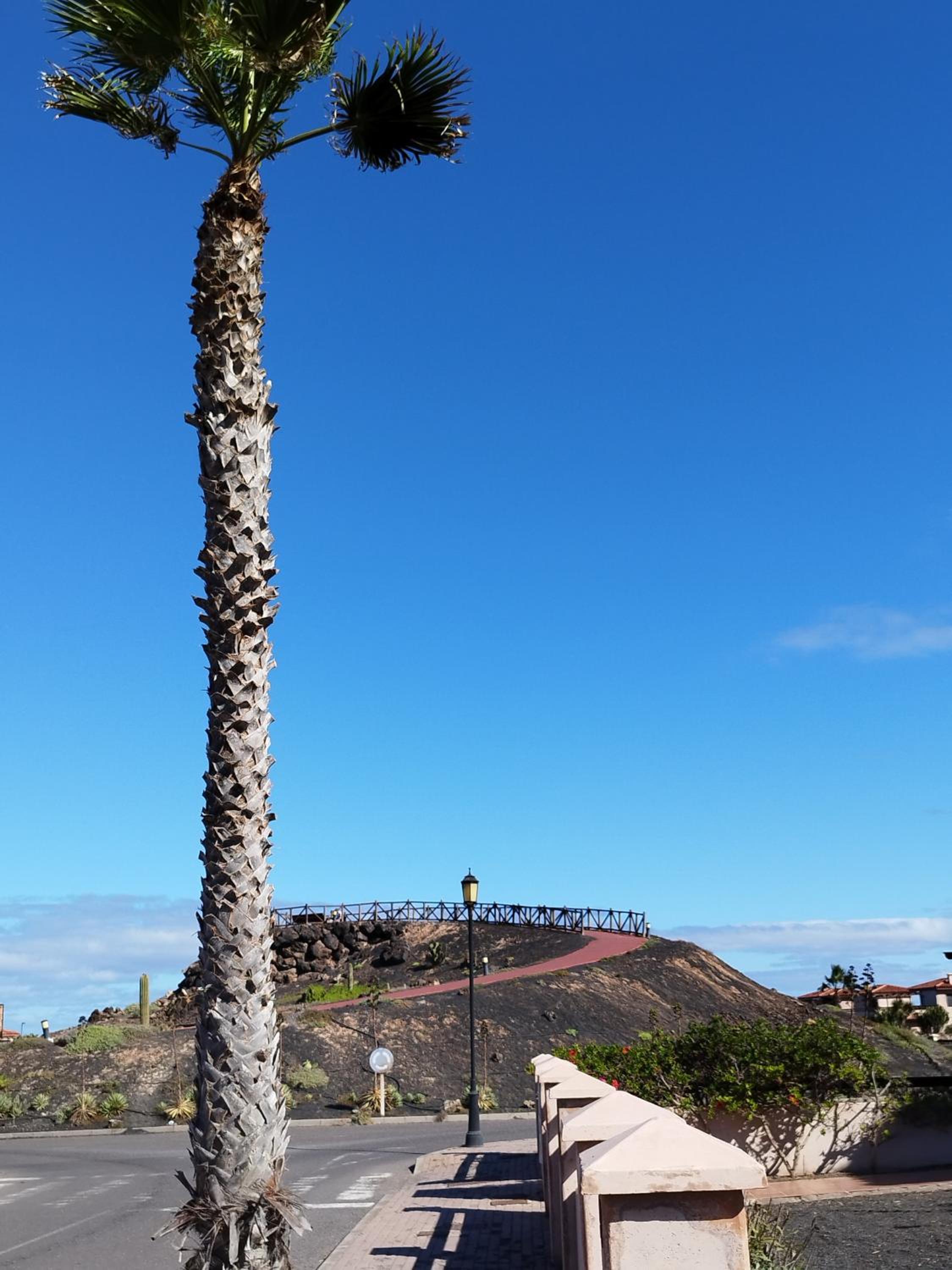 Lugar del alma