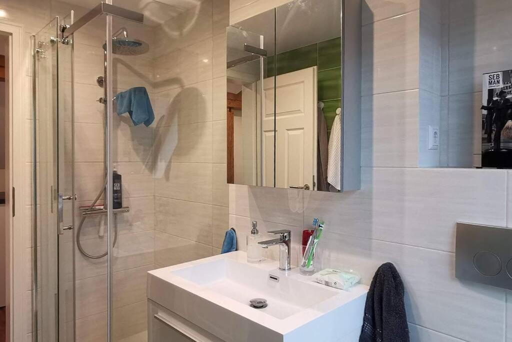 Exklusive Attika Wohnung mit 5 Zimmer nahe zur Schweiz