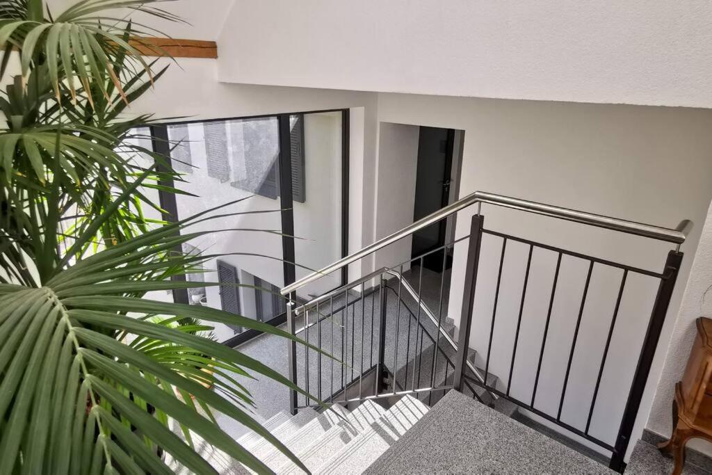 Exklusive Attika Wohnung mit 5 Zimmer nahe zur Schweiz