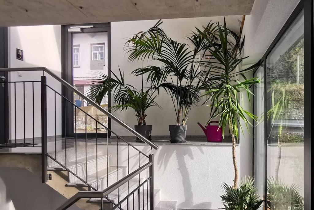 Exklusive Attika Wohnung mit 5 Zimmer nahe zur Schweiz
