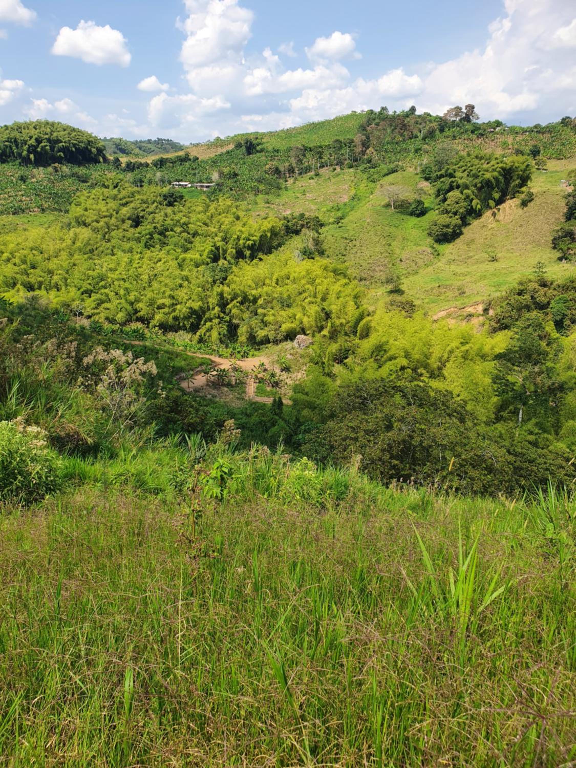El paraíso