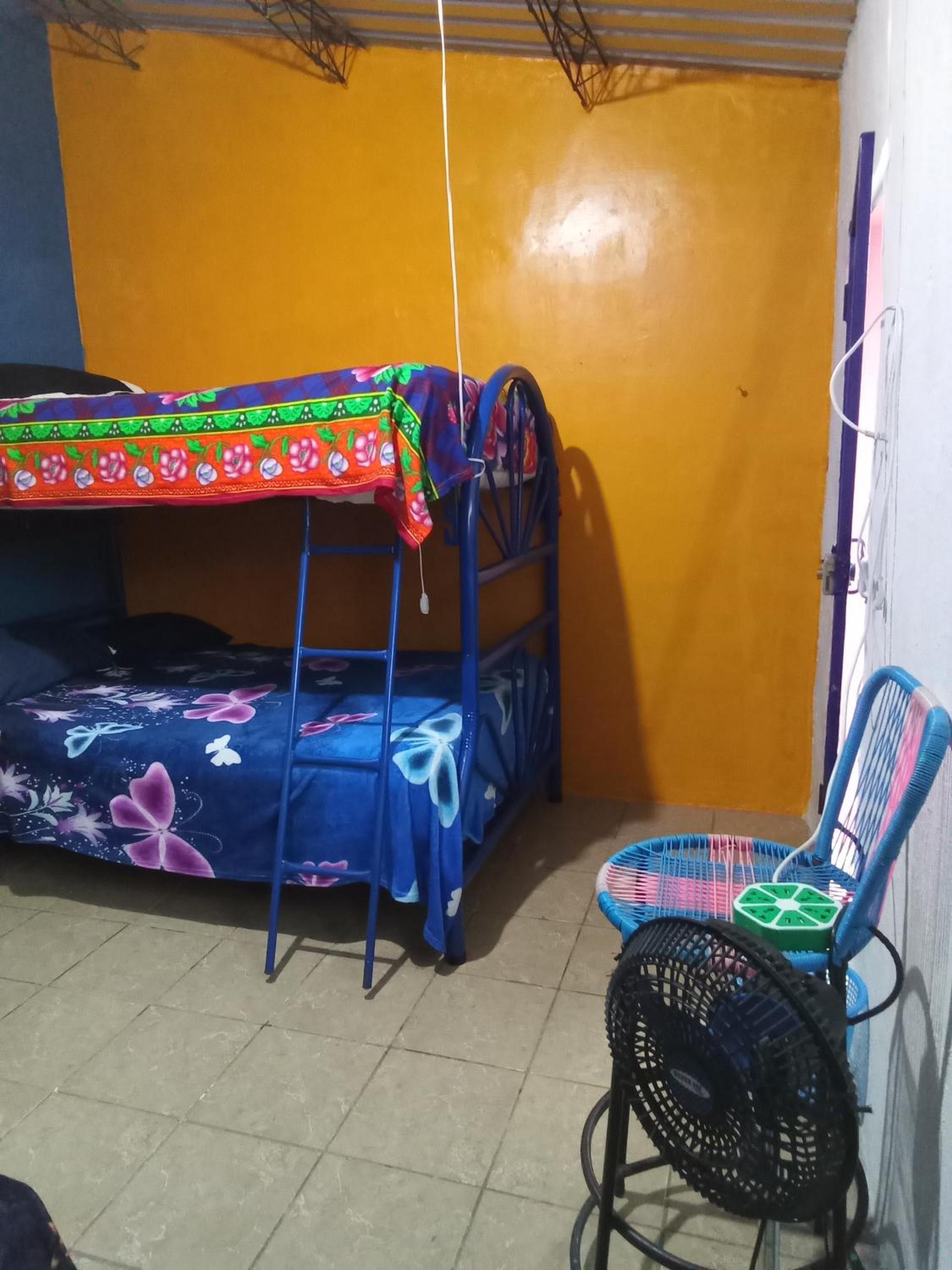 Photo 42