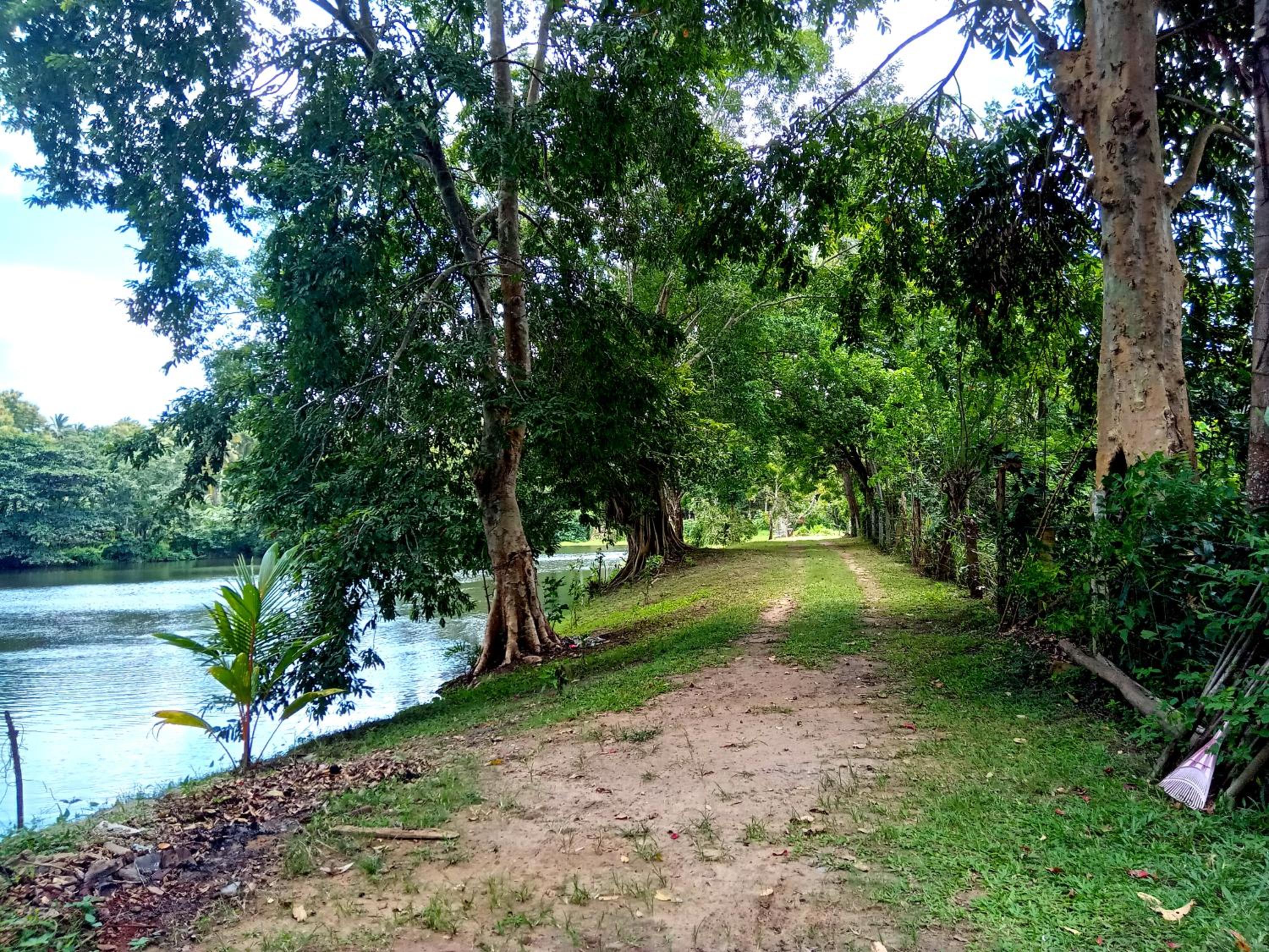 Lake villa