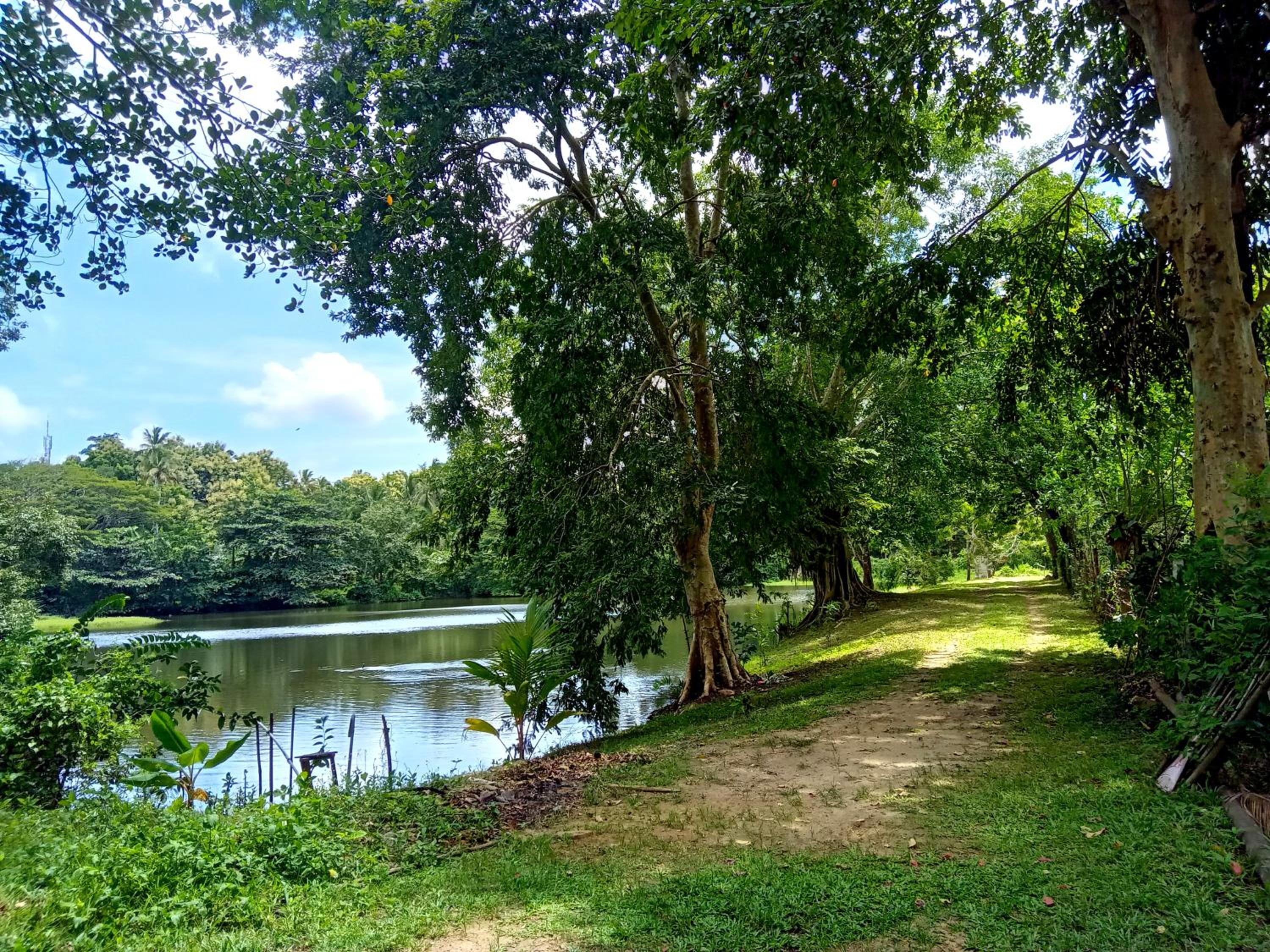 Lake villa