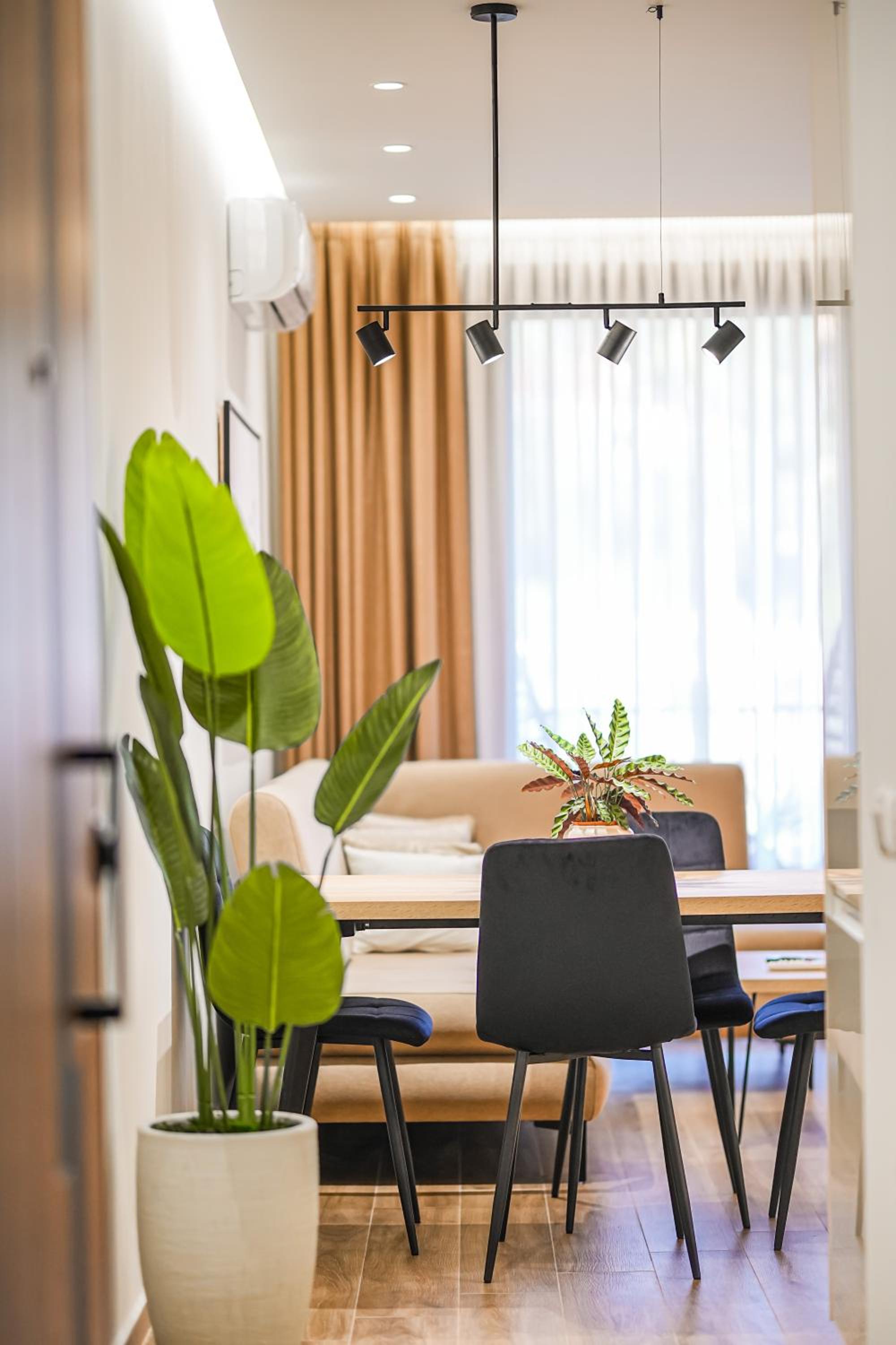 Aria's Apartment