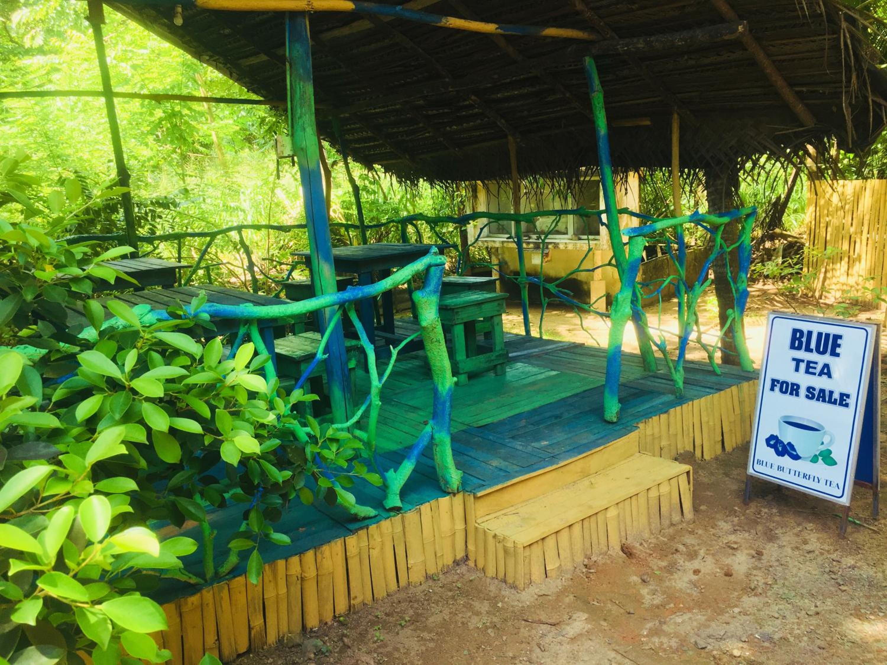Seasons Four Eco Friendly Treehouse view 2