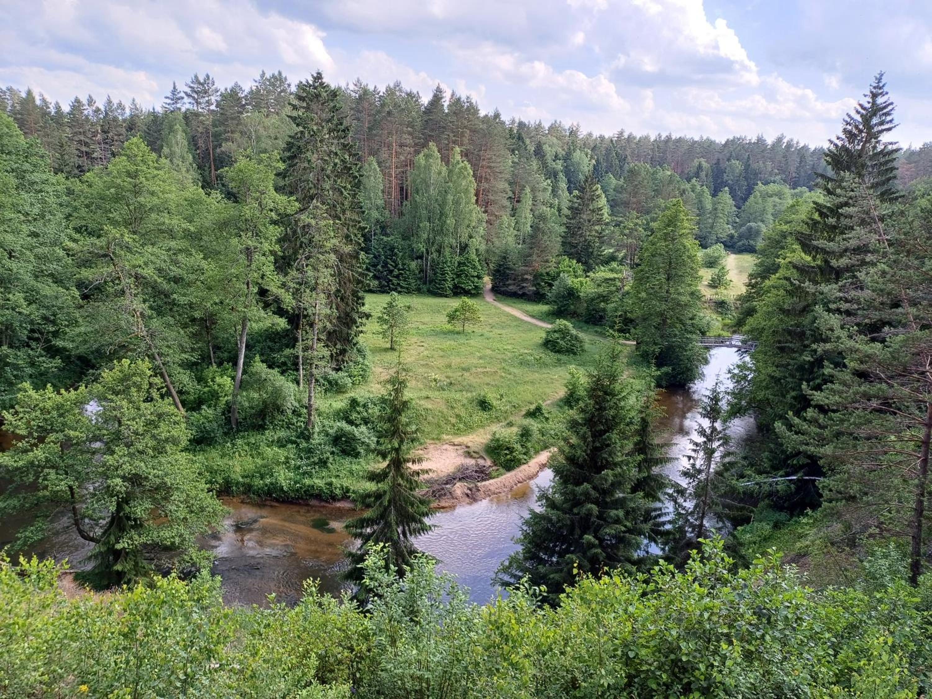 Gamtos pinklės