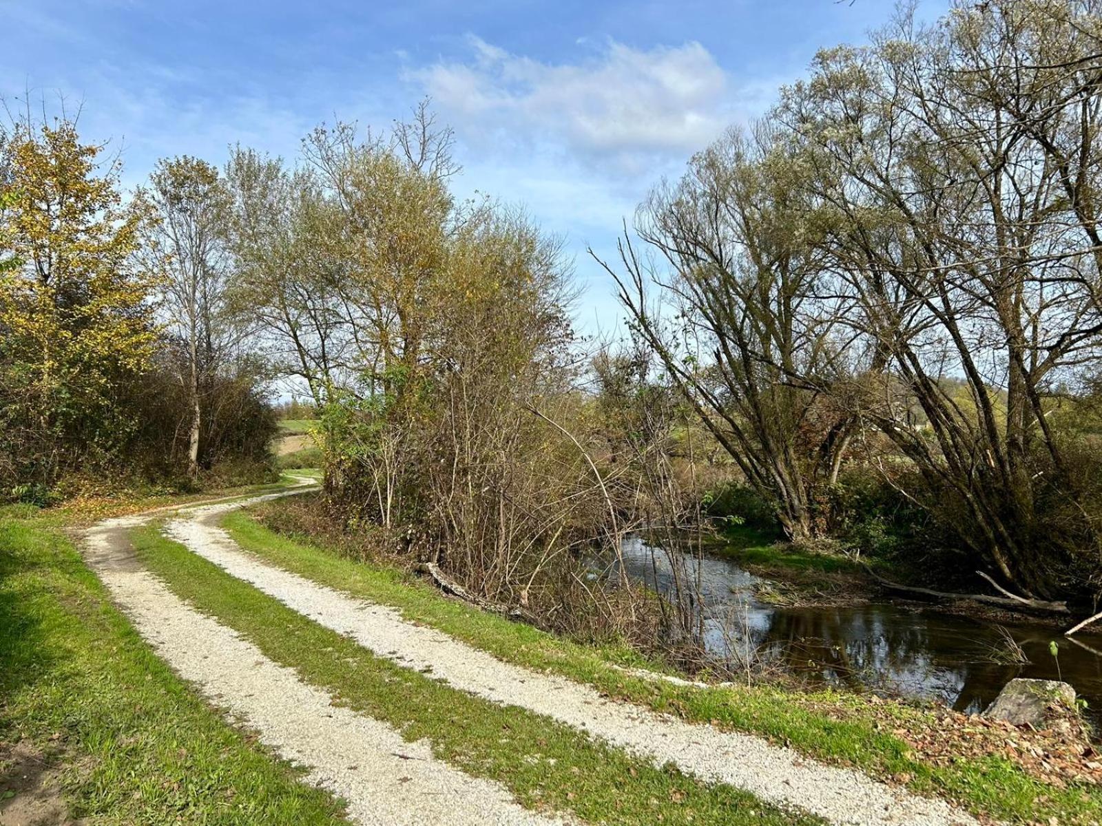 Photo 45