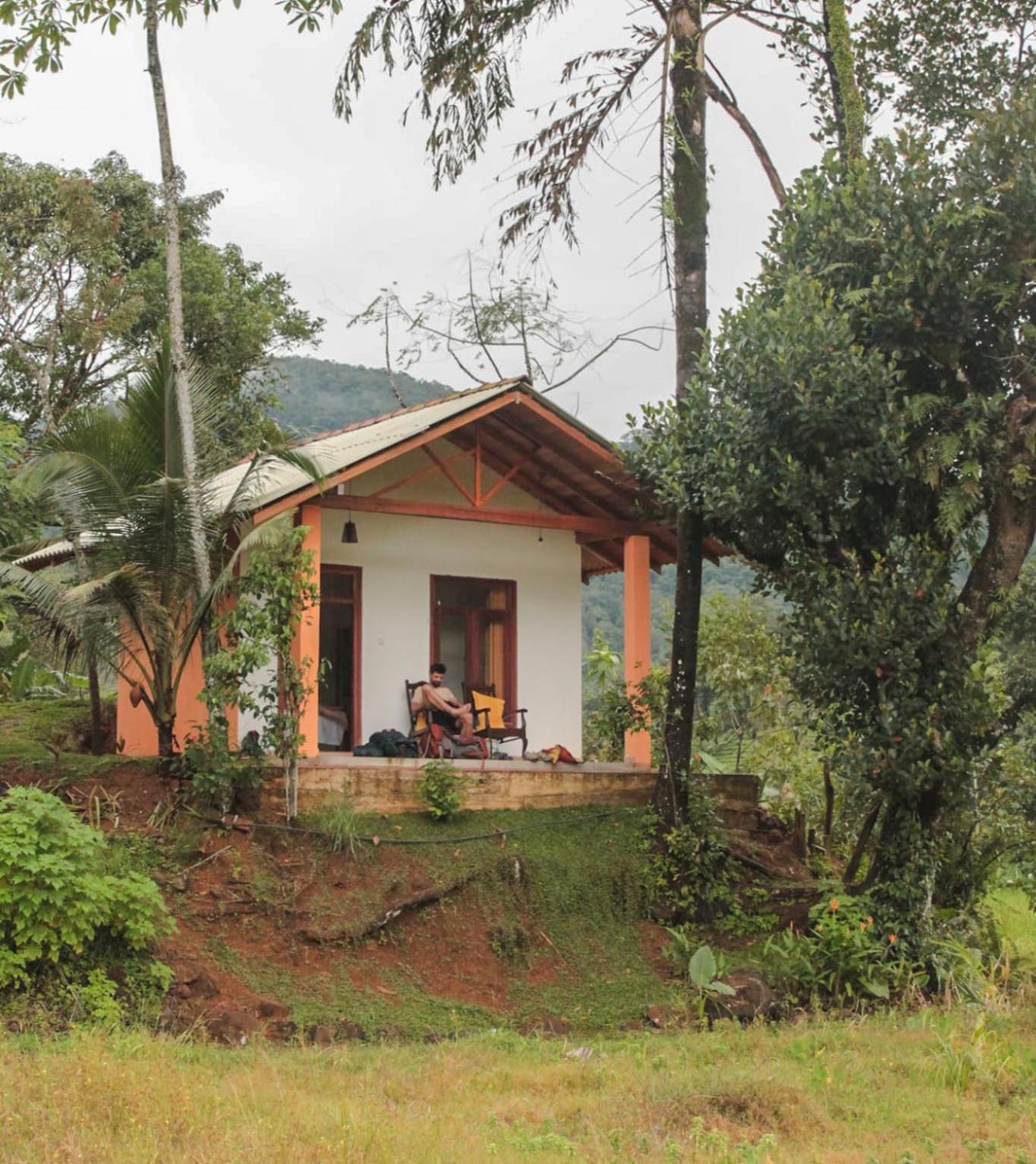 Forest & Fields Sinharaja view 2