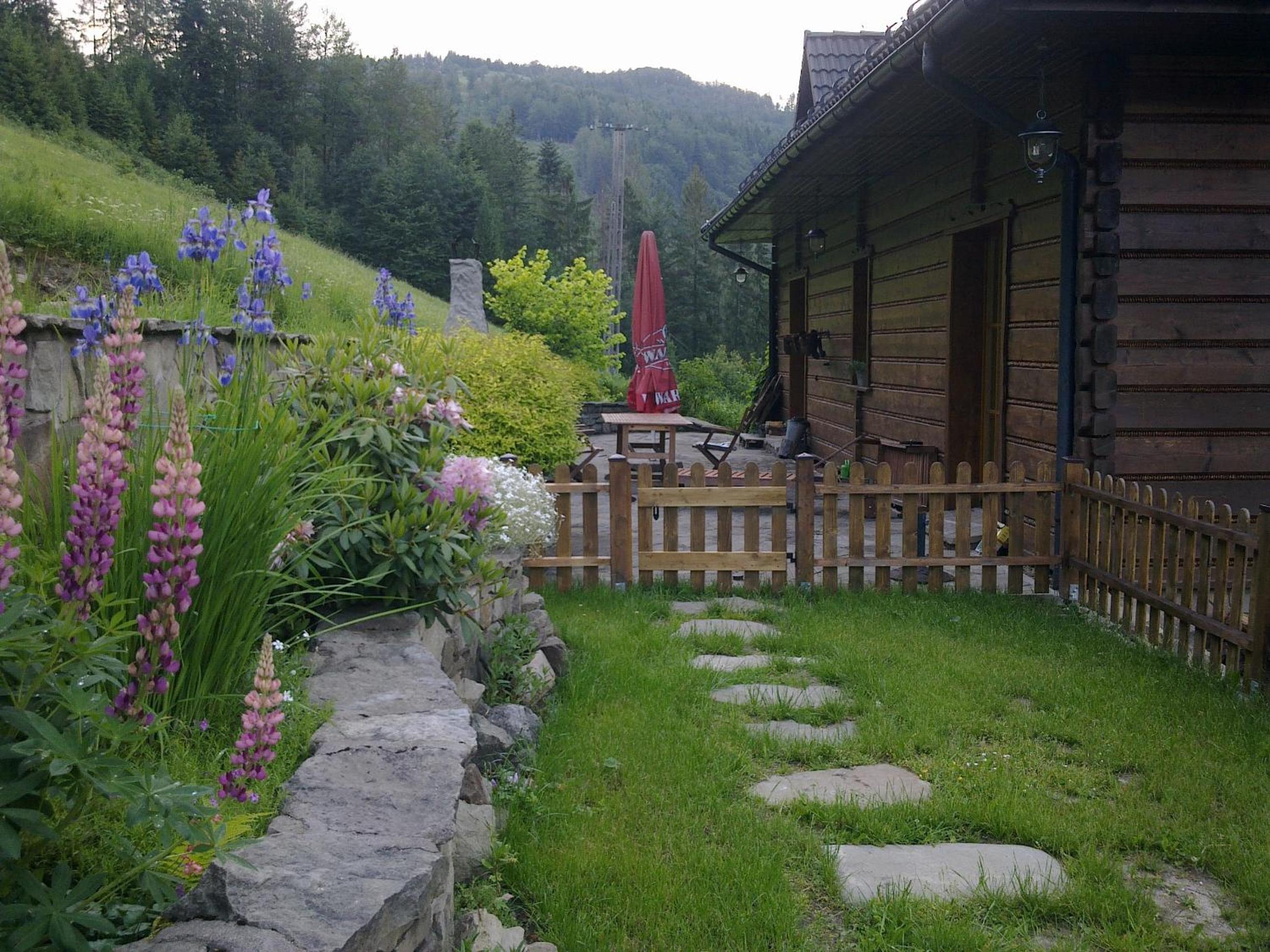 Photo 6