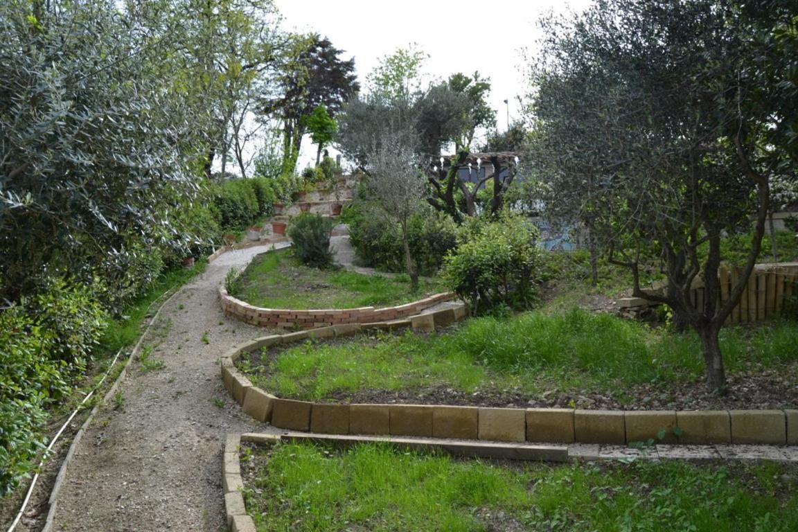 Civettina
