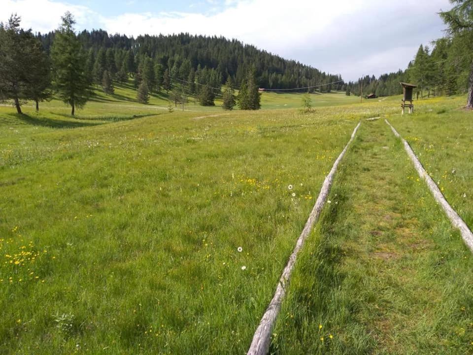 Photo 48