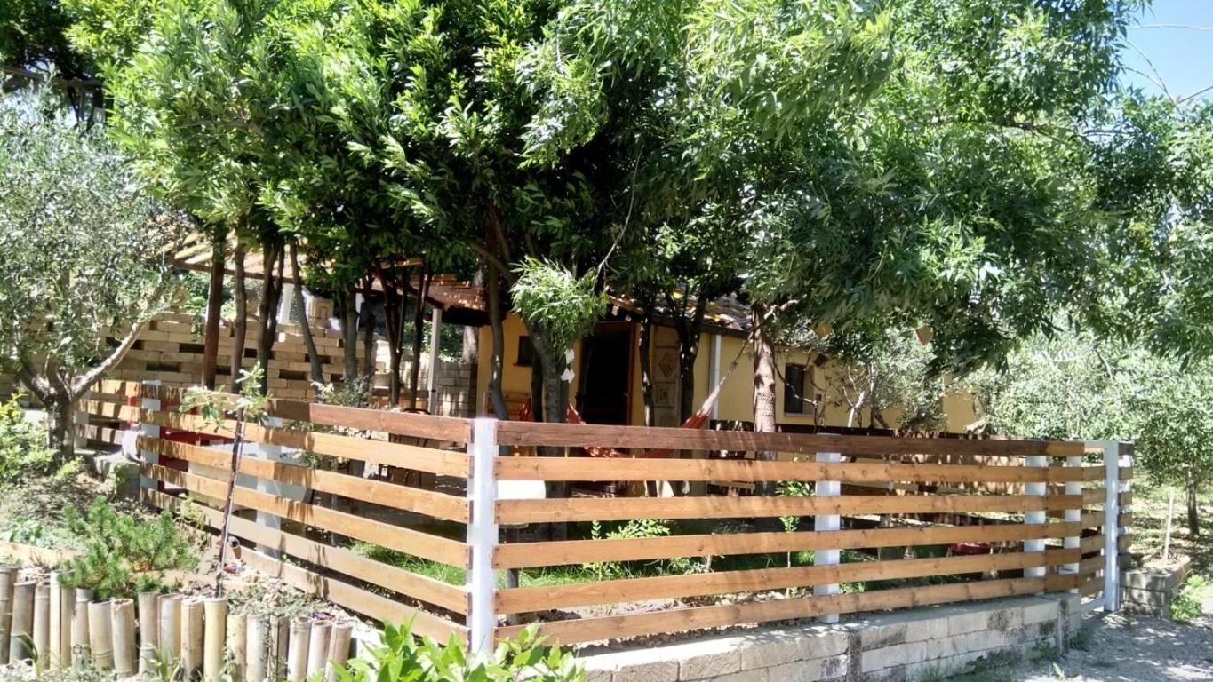 Civettina