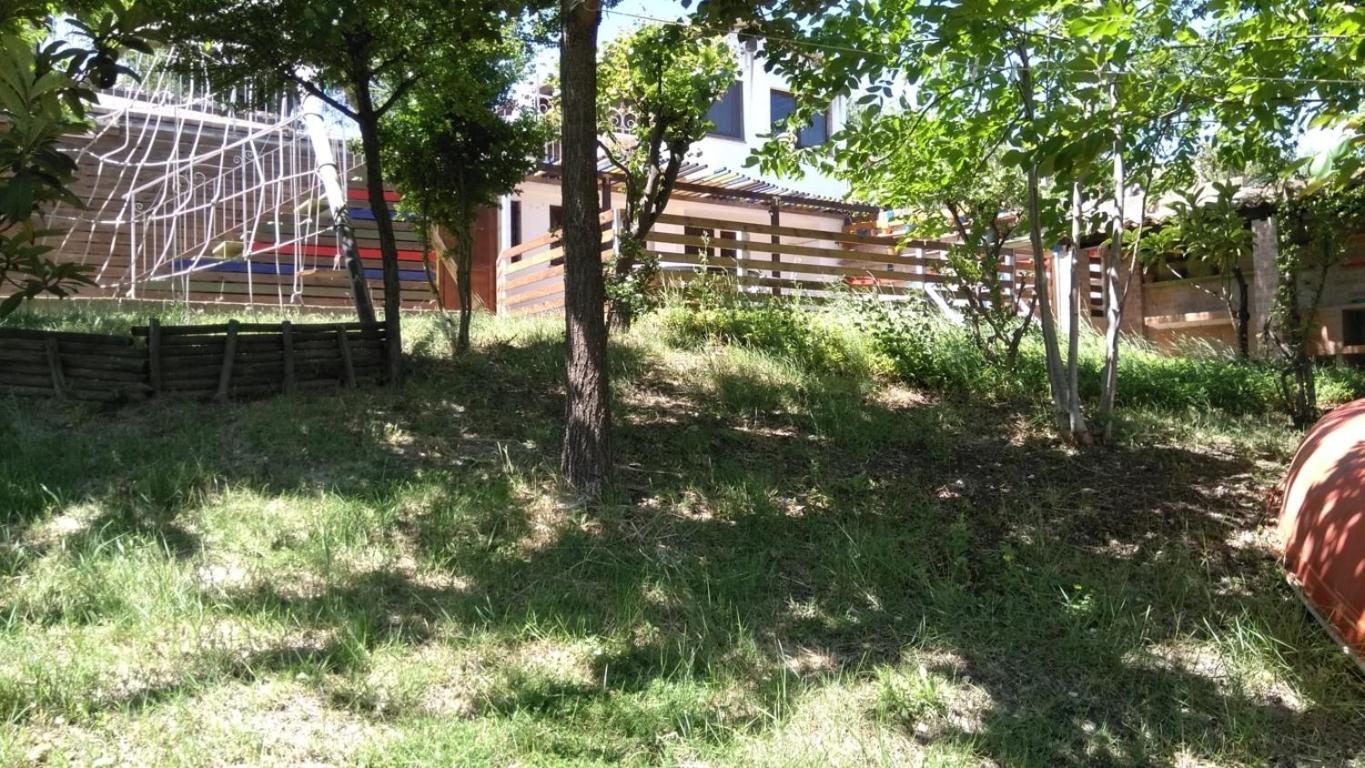 Civettina