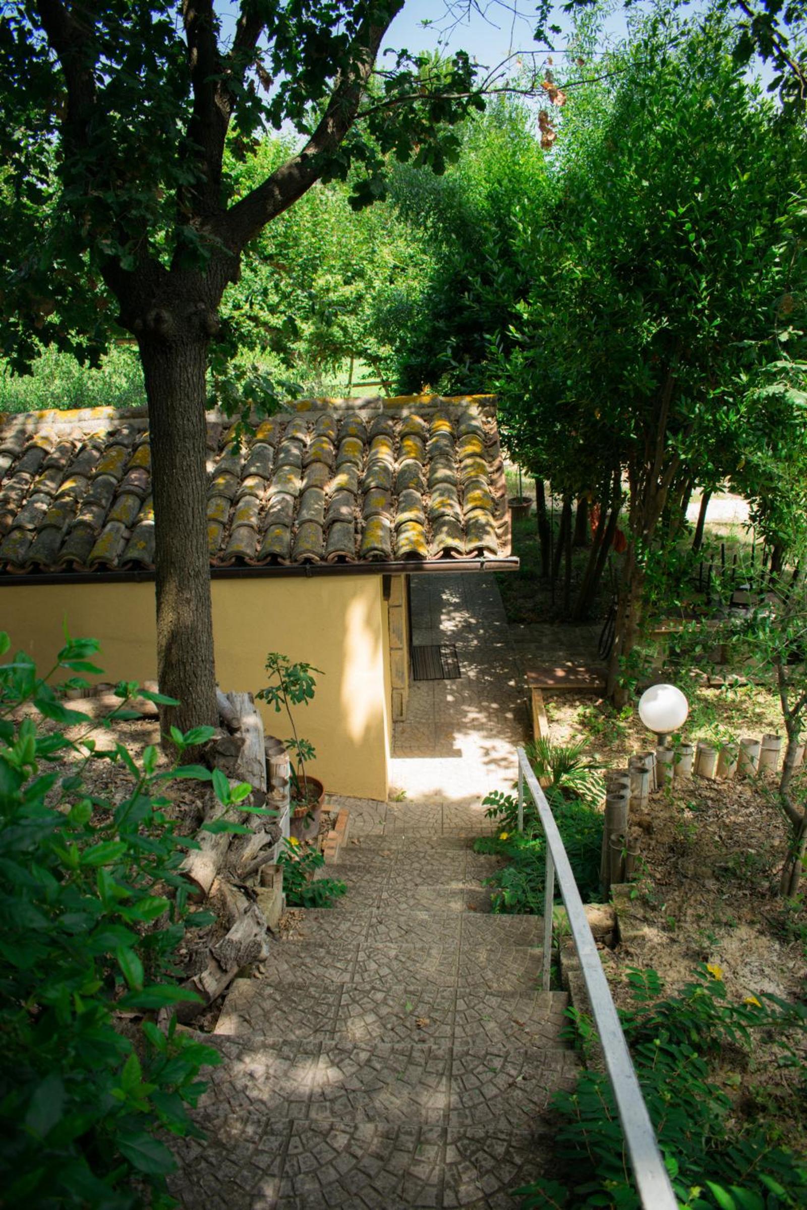 Civettina