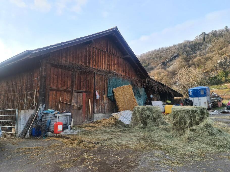 Maison de charme entre ville et campagne