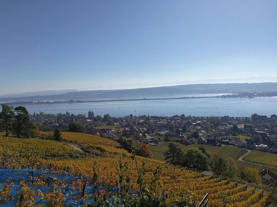 Maison de charme entre ville et campagne