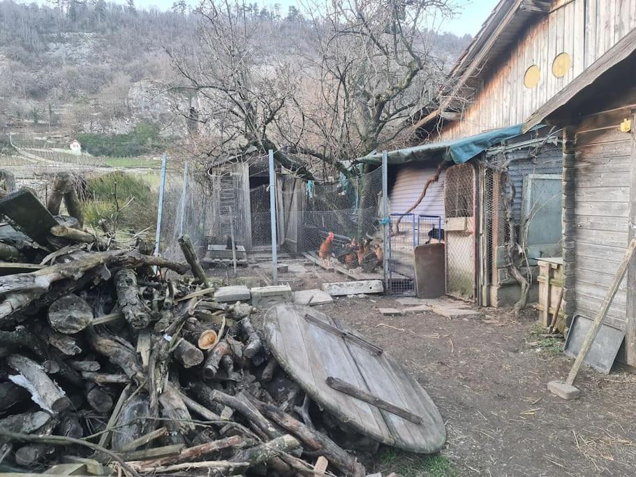Maison de charme entre ville et campagne