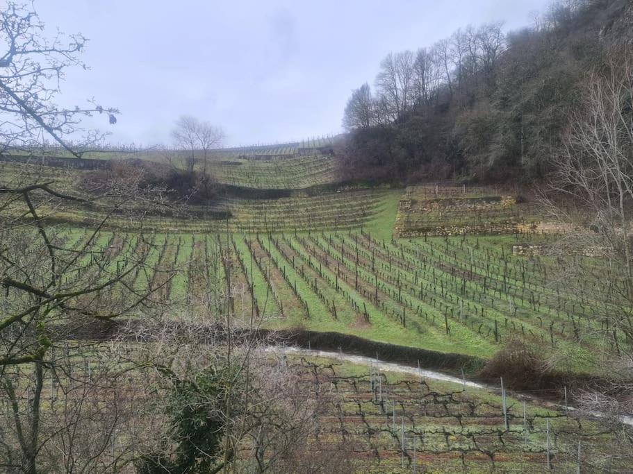 Maison de charme entre ville et campagne