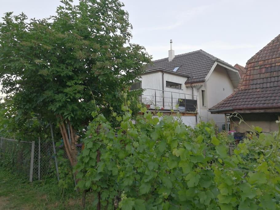Maison de charme entre ville et campagne