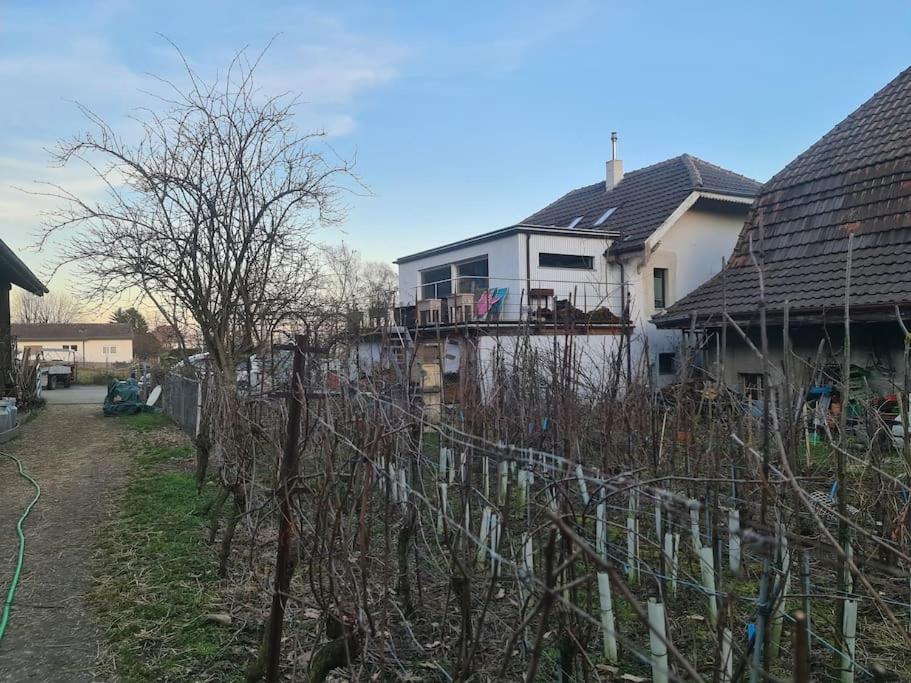 Maison de charme entre ville et campagne