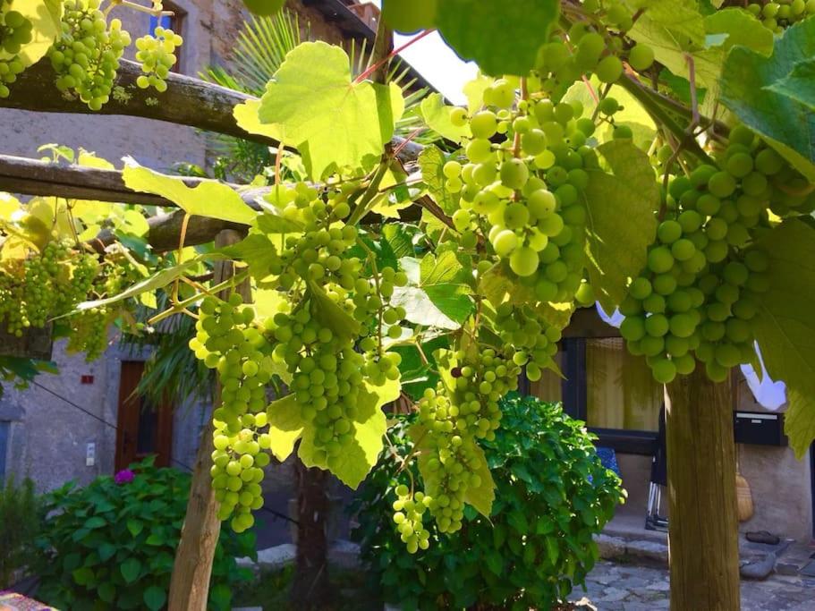 Maison de charme entre ville et campagne