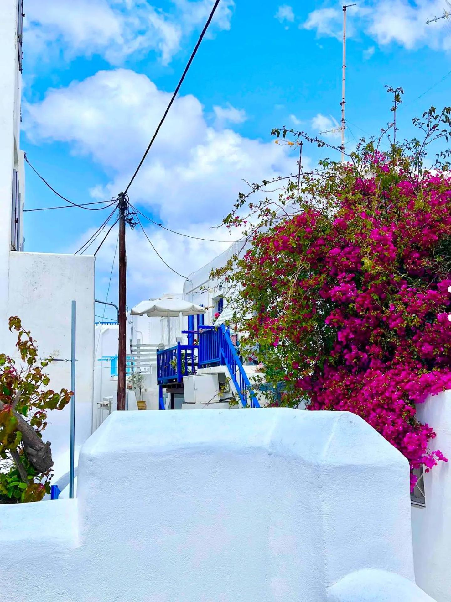 Aphrodite Suite next to the Windmills of Mykonos