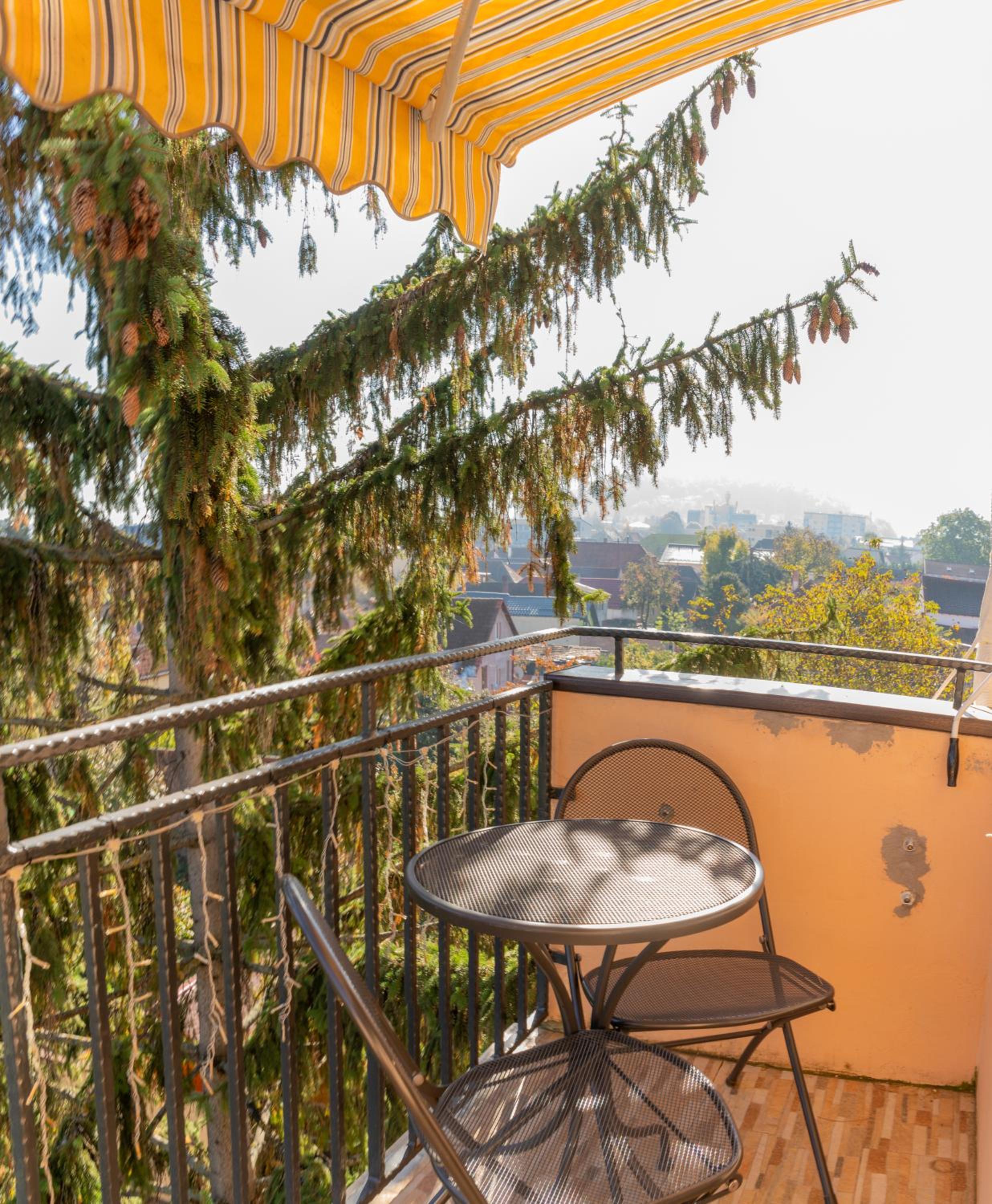 AlbertView - vedere Panoramica