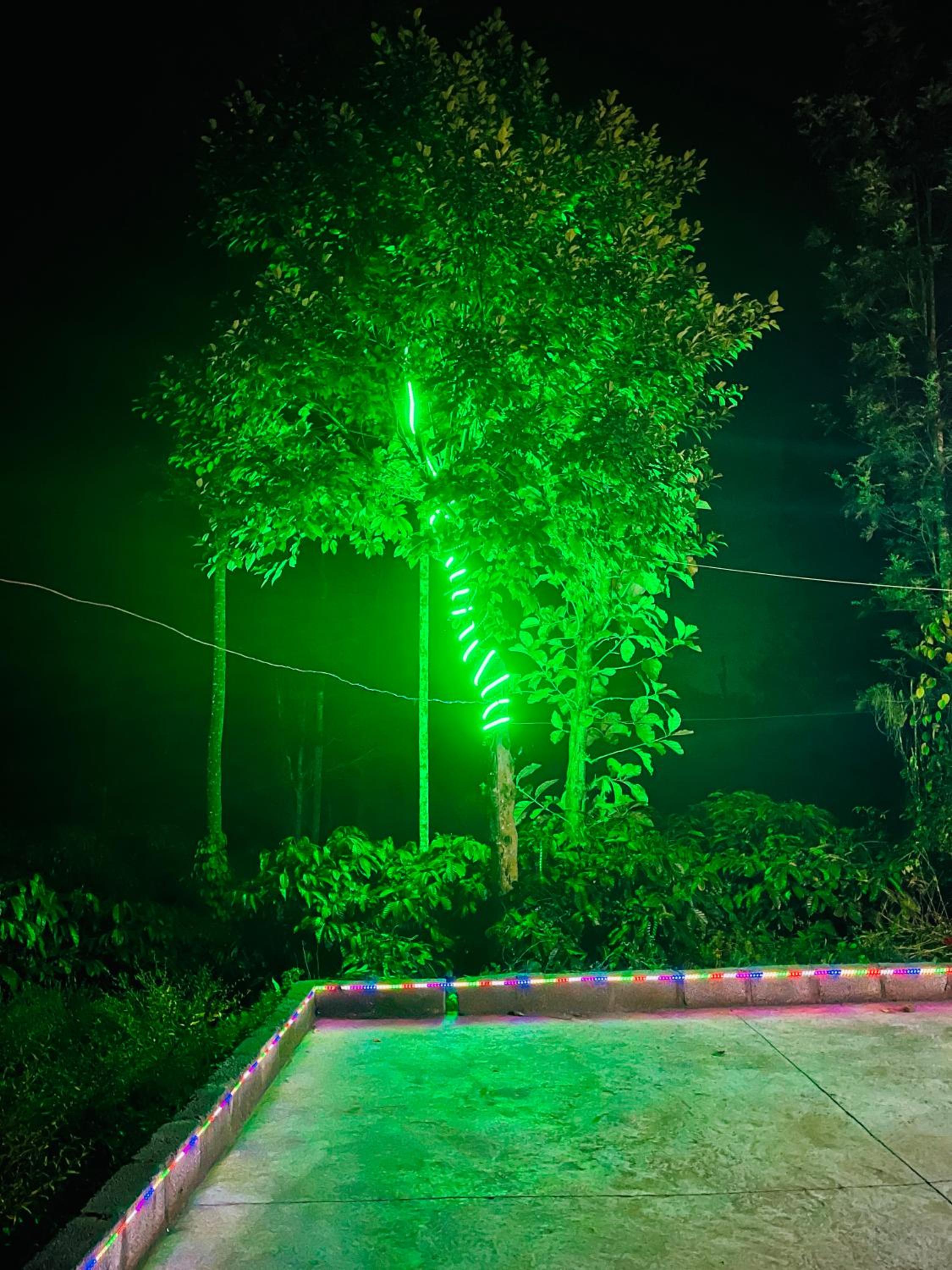 Preetham Homestay