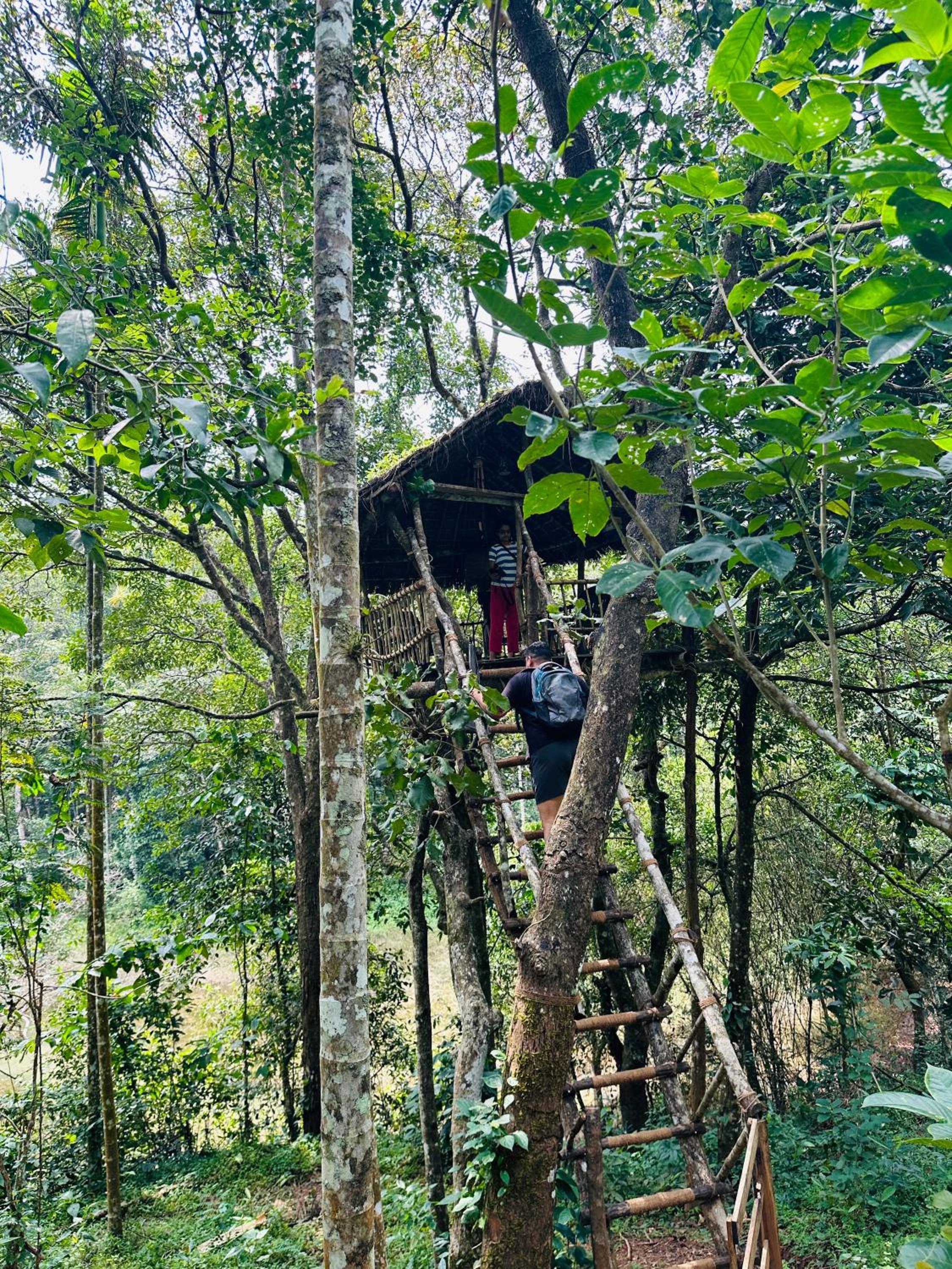 Drey at Druv Dakshin Farm Resort