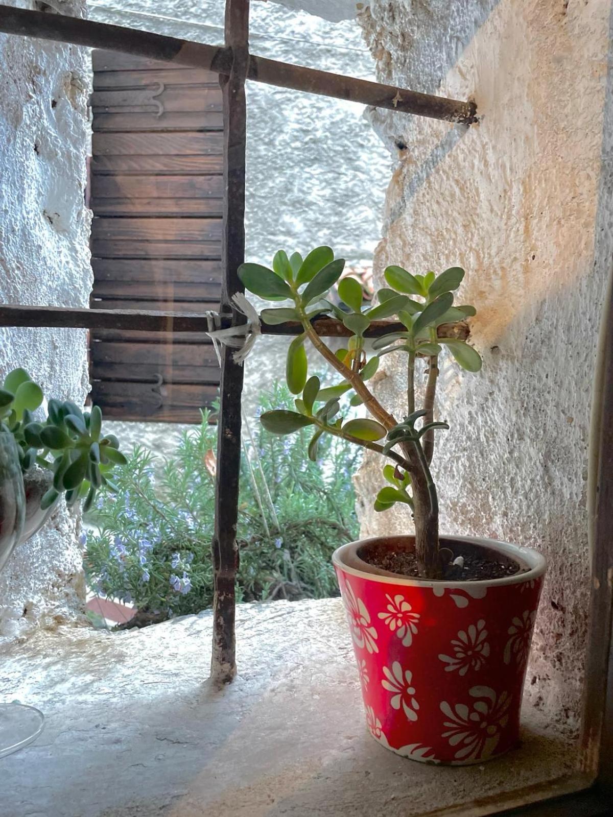 Casa Luisa, relax con vista panoramica