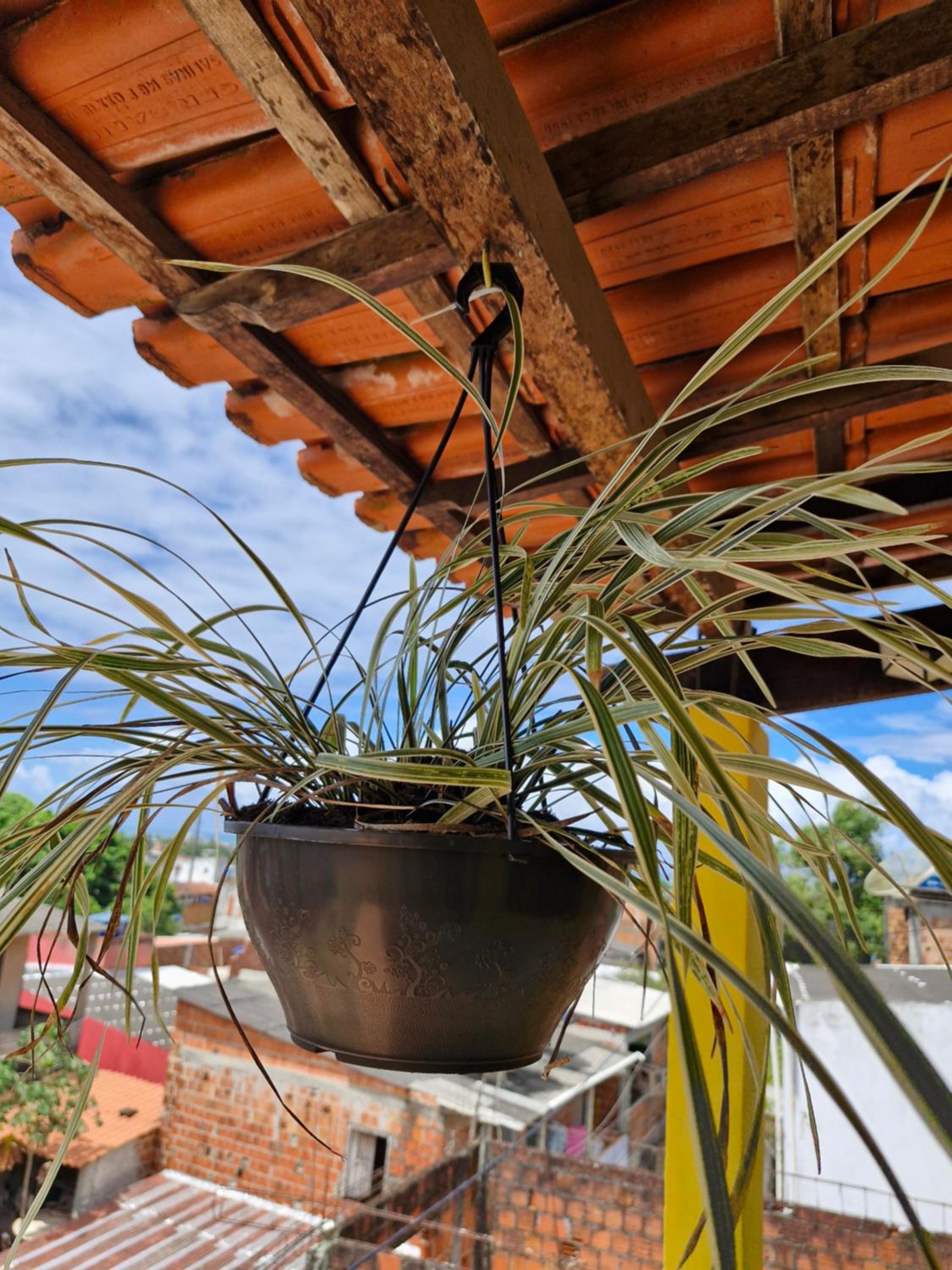 Bela Vista Casa Completa WI-FI Pet Criança WIFI
