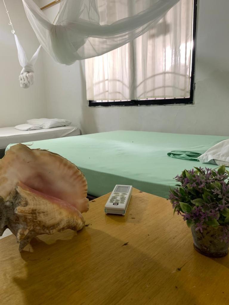 Taida Experiences Hostel