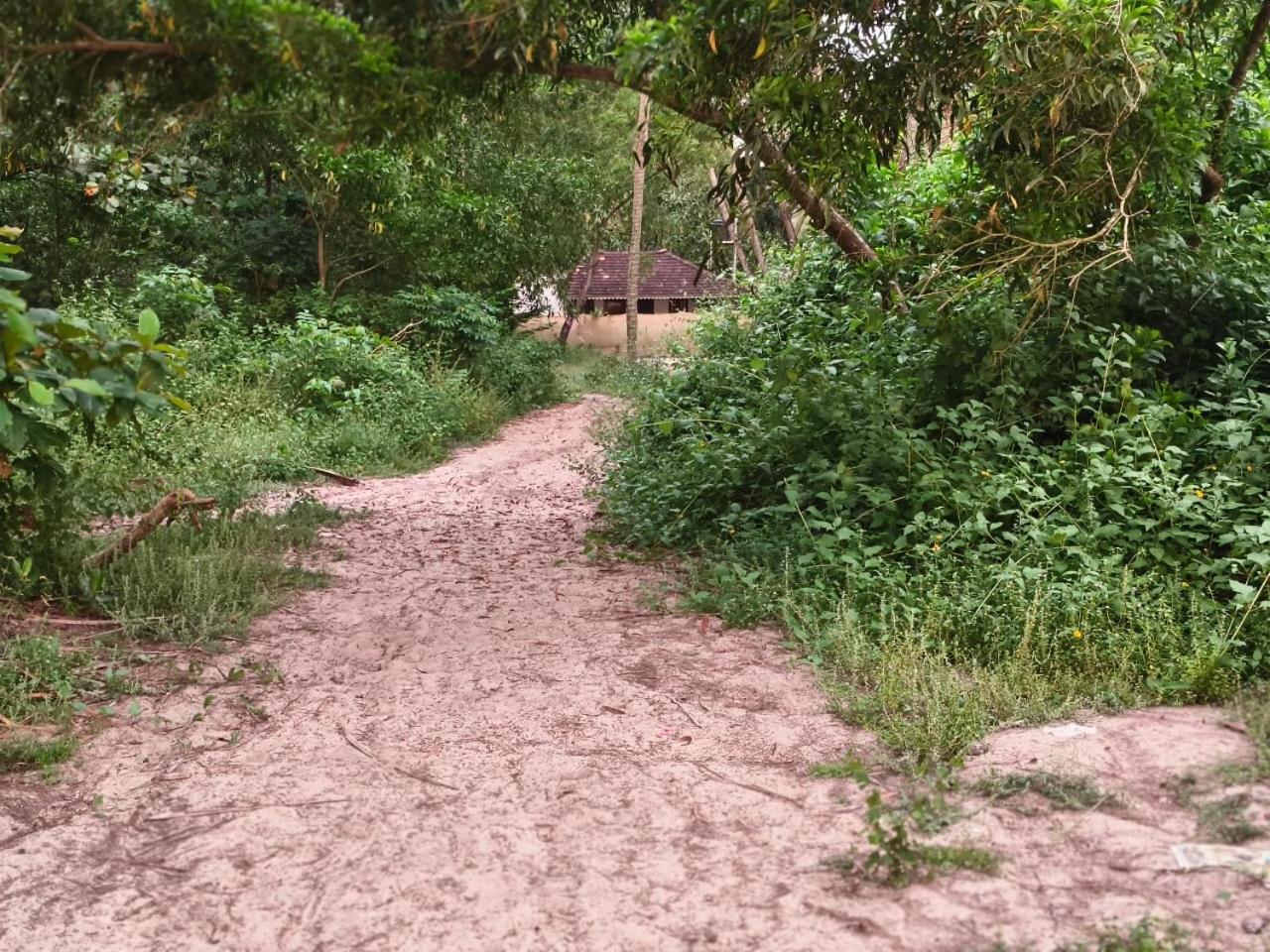 Photo 17