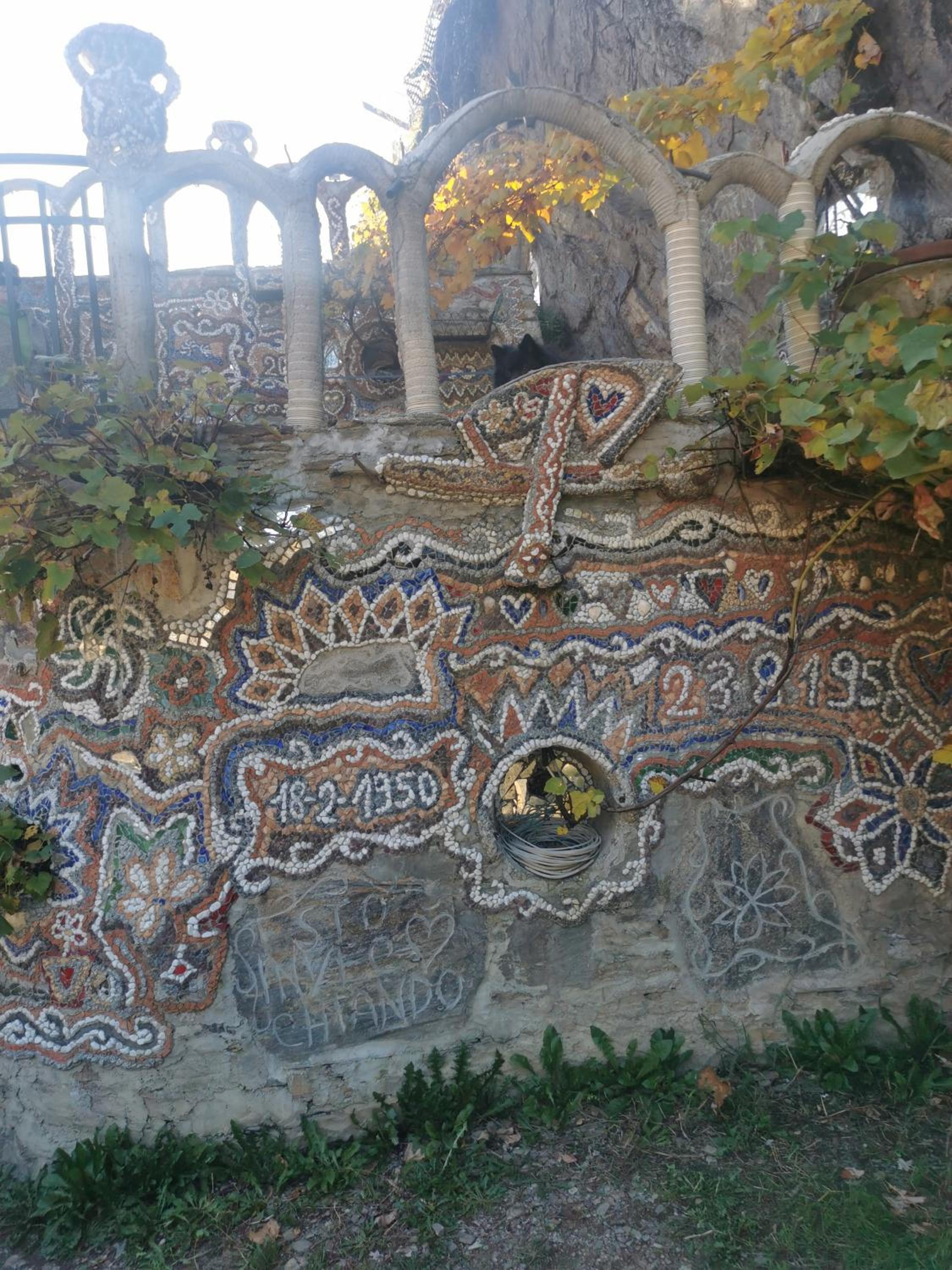 Photo 21