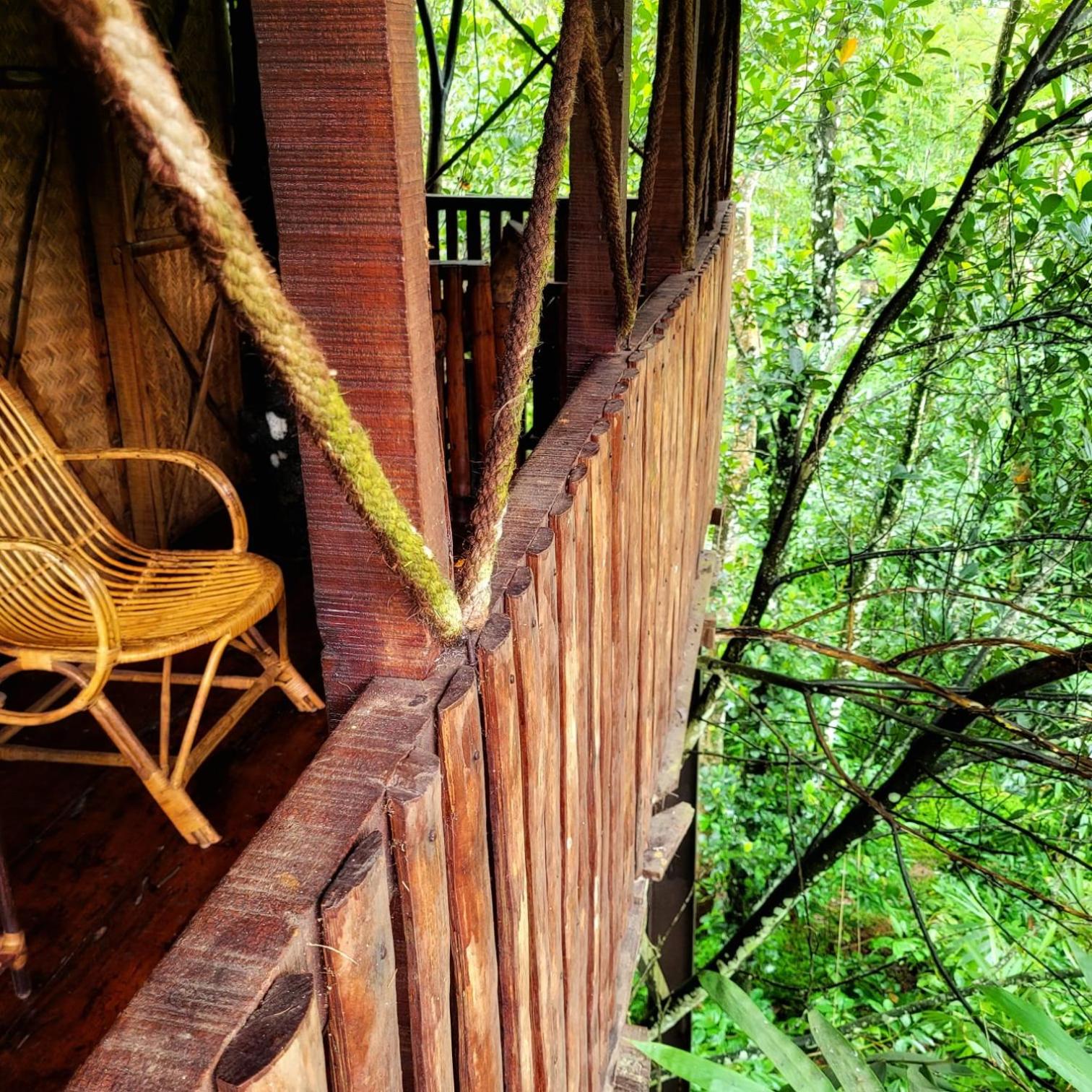 Greens Tree House & Wood House