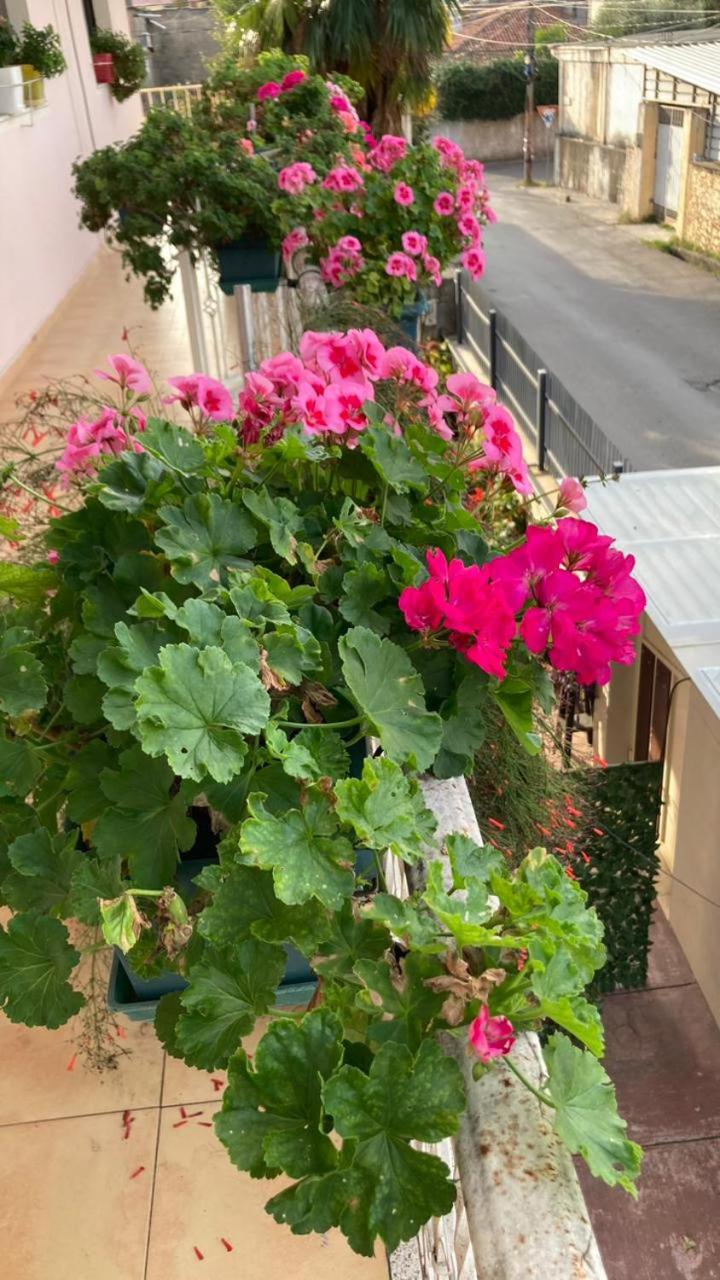 Blissful Hostel