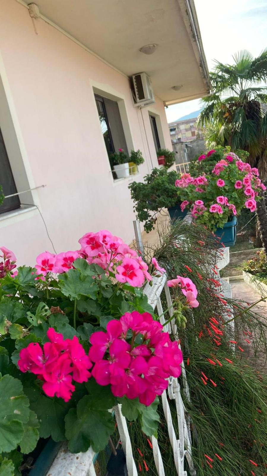 Blissful Hostel