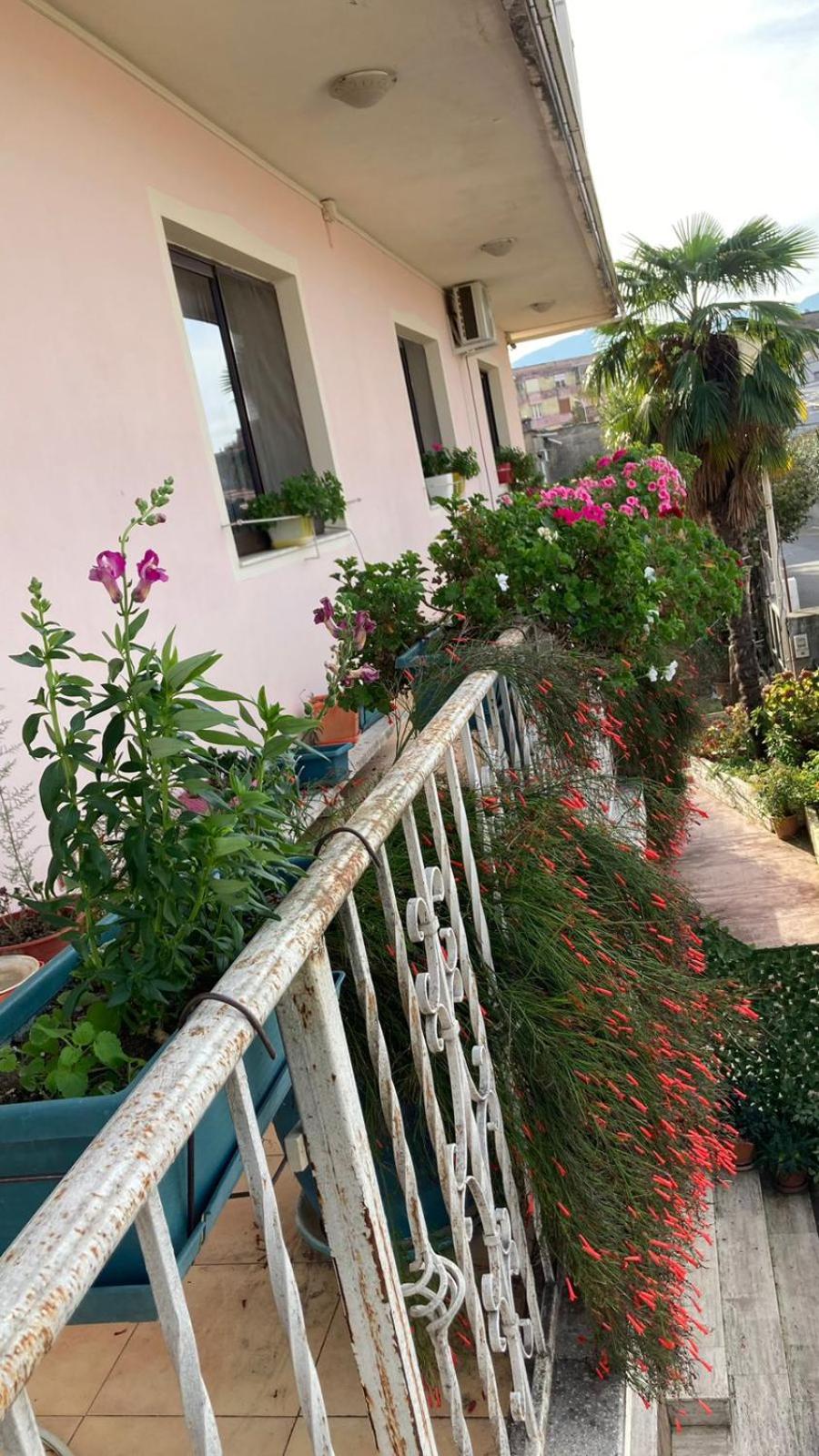 Blissful Hostel