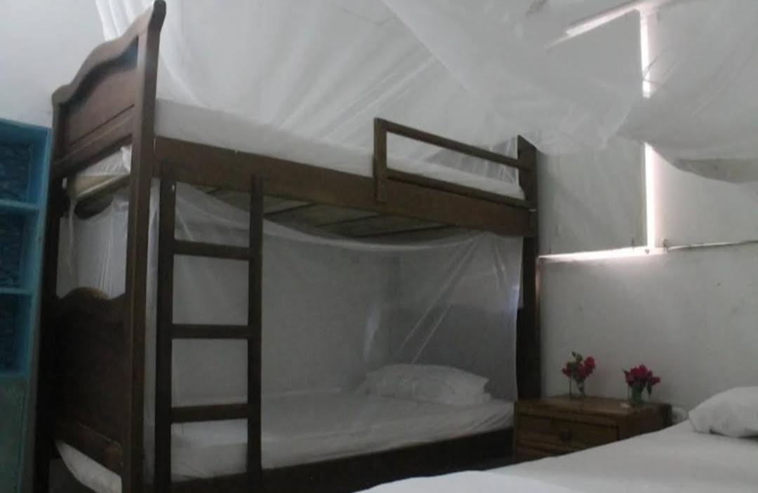 Taida Experiences Hostel