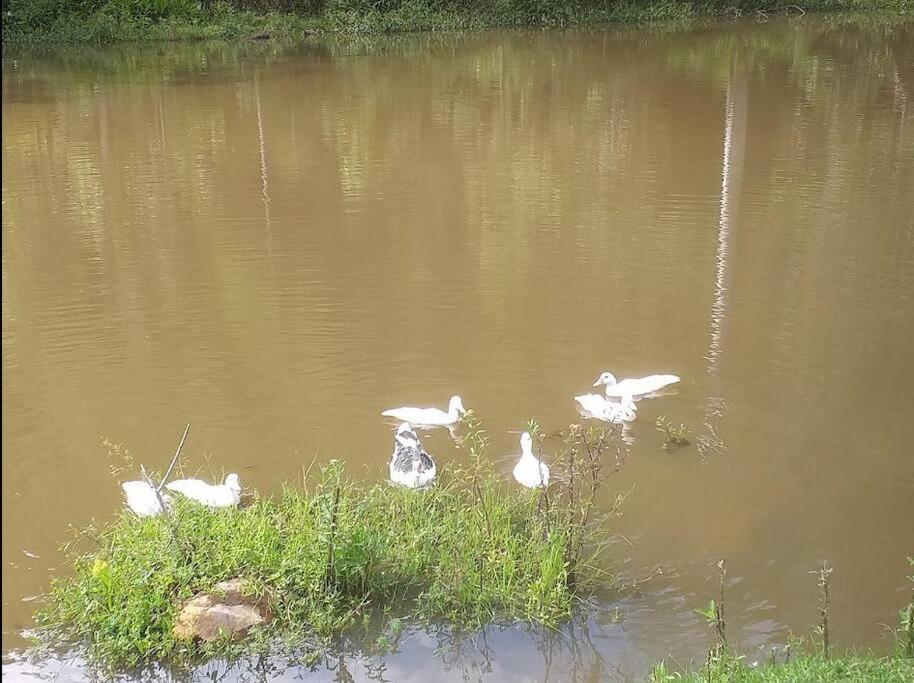 Sitio - Mini Fazenda em ITU - SP