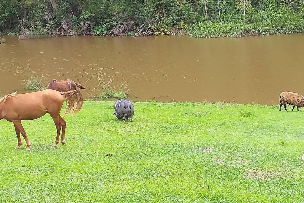Sitio - Mini Fazenda em ITU - SP