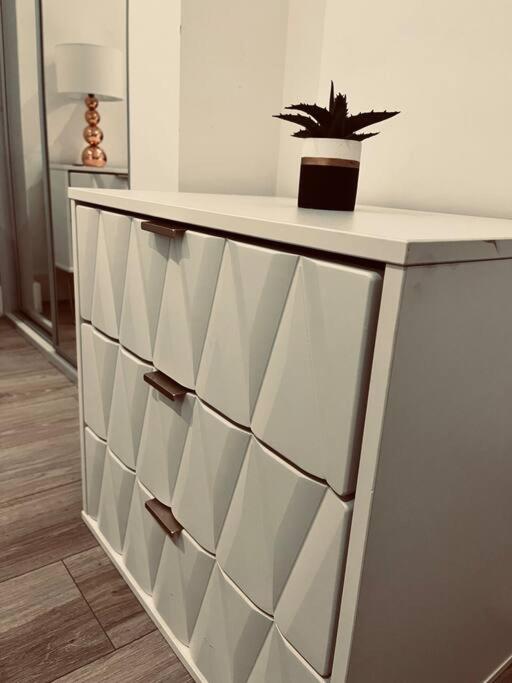 Stylish studio apartment