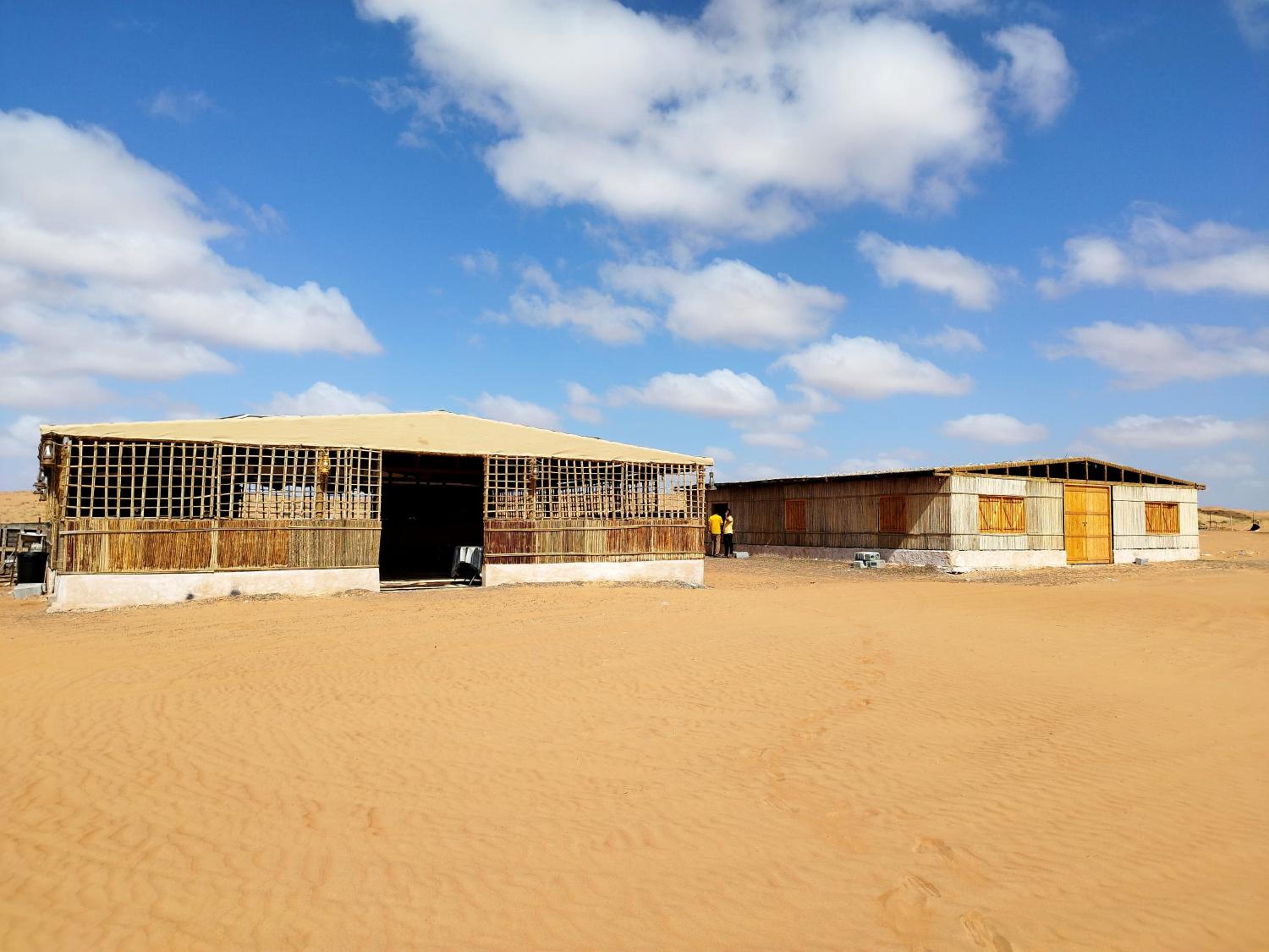 Sands Dream Tourism Camp