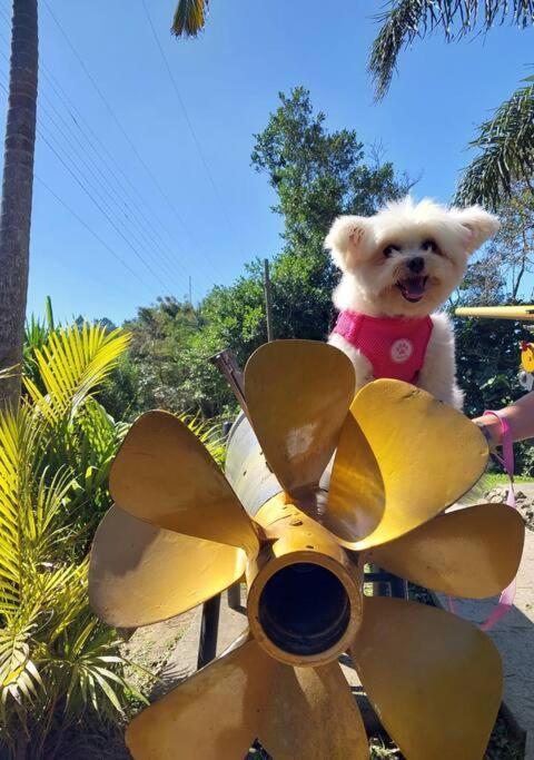 Apartamento 600 m da Praia dos Ingleses Pet Friendly Wi-Fi Garagem