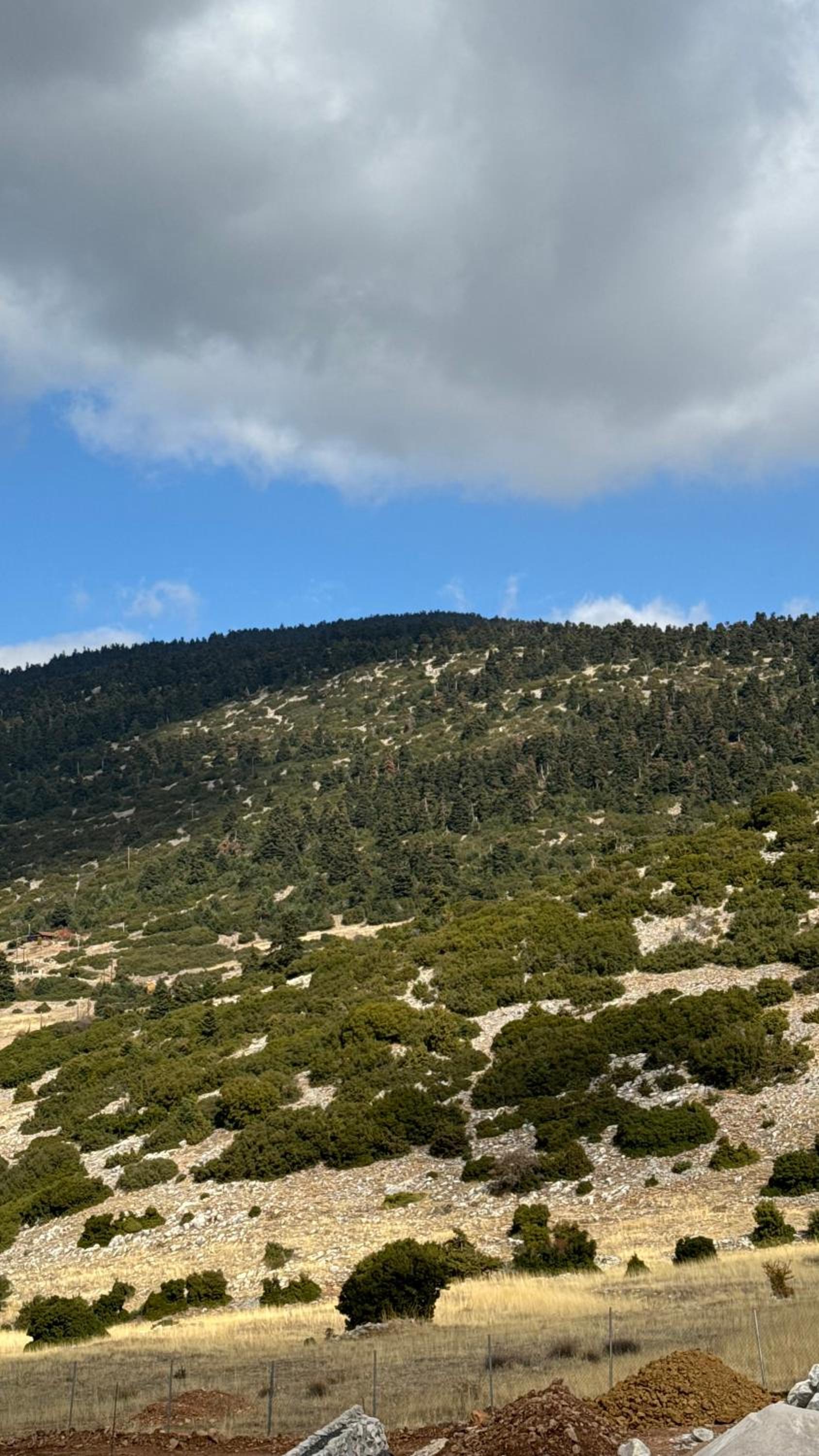 Arachova Sky Chalet view 5
